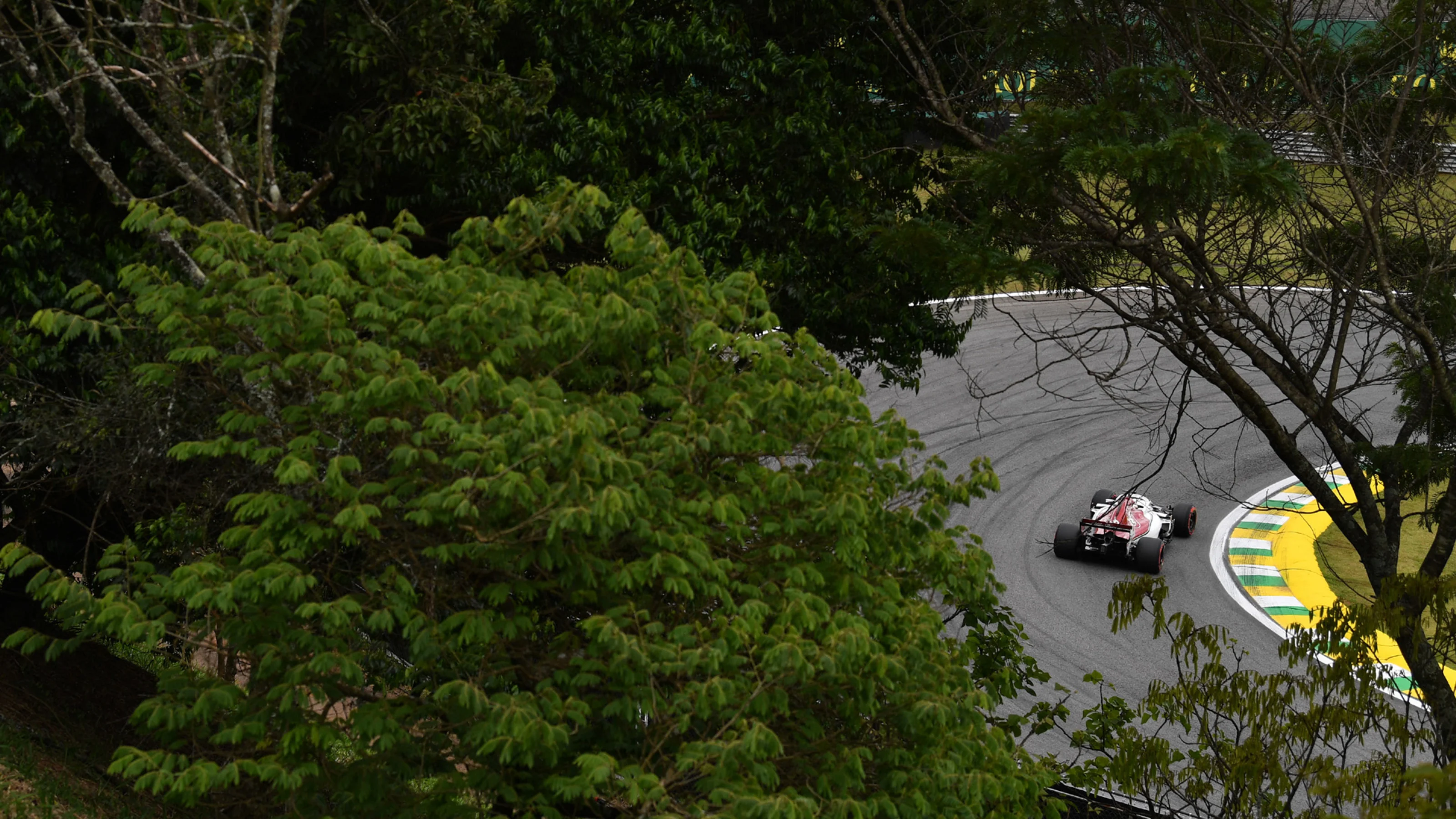 AUTÃ³DROMO JOSÃ© CARLOS PACE, BRAZIL - NOVEMBER 10: Marcus Ericsson, Alfa Romeo Sauber C37 during