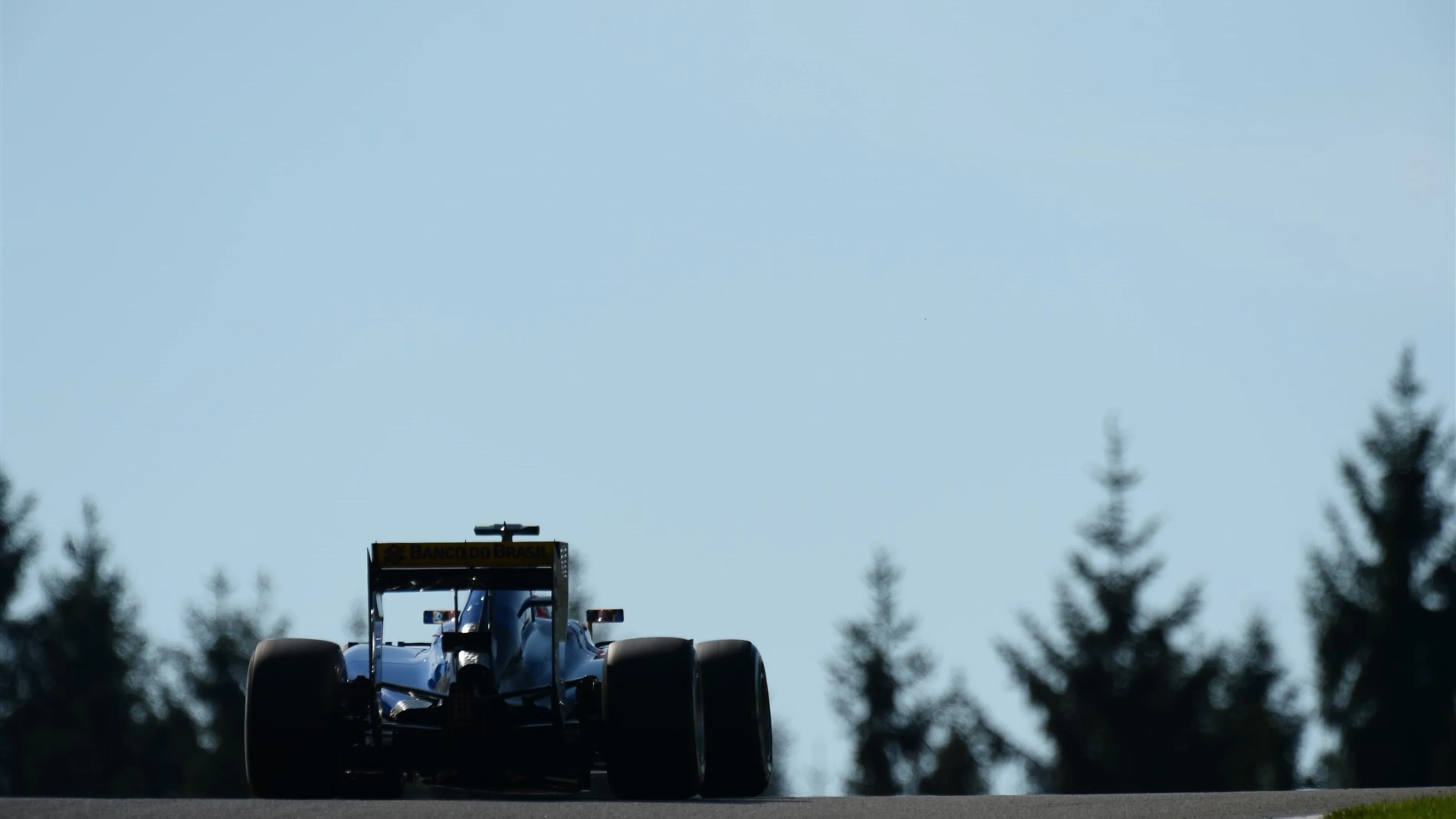 Felipe Nasr (BRA) Sauber C34 at Formula One World Championship, Rd11, Belgian Grand Prix,