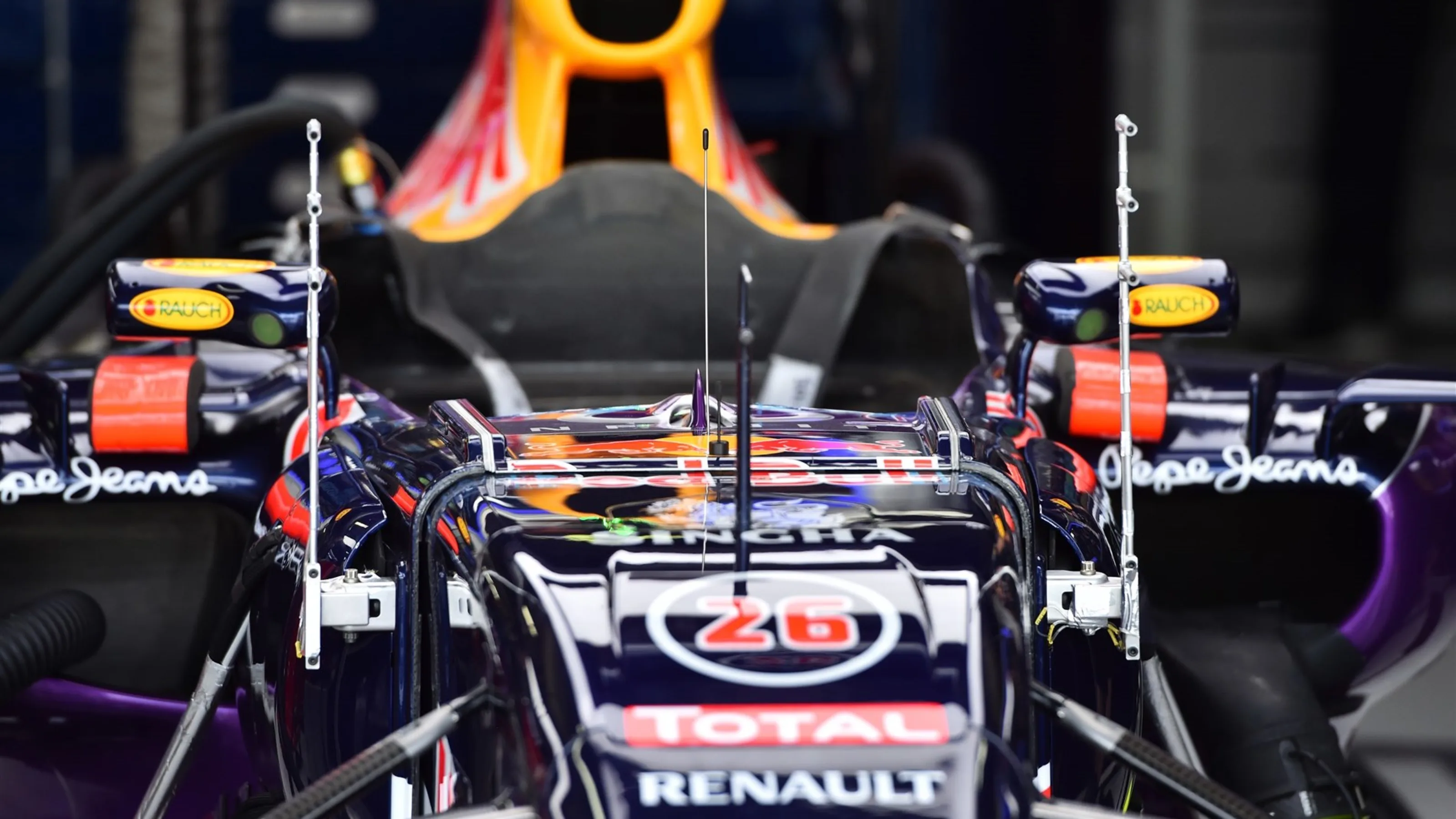 Red Bull Racing RB11 nose detail at Formula One World Championship, Rd18, Brazilian Grand Prix,