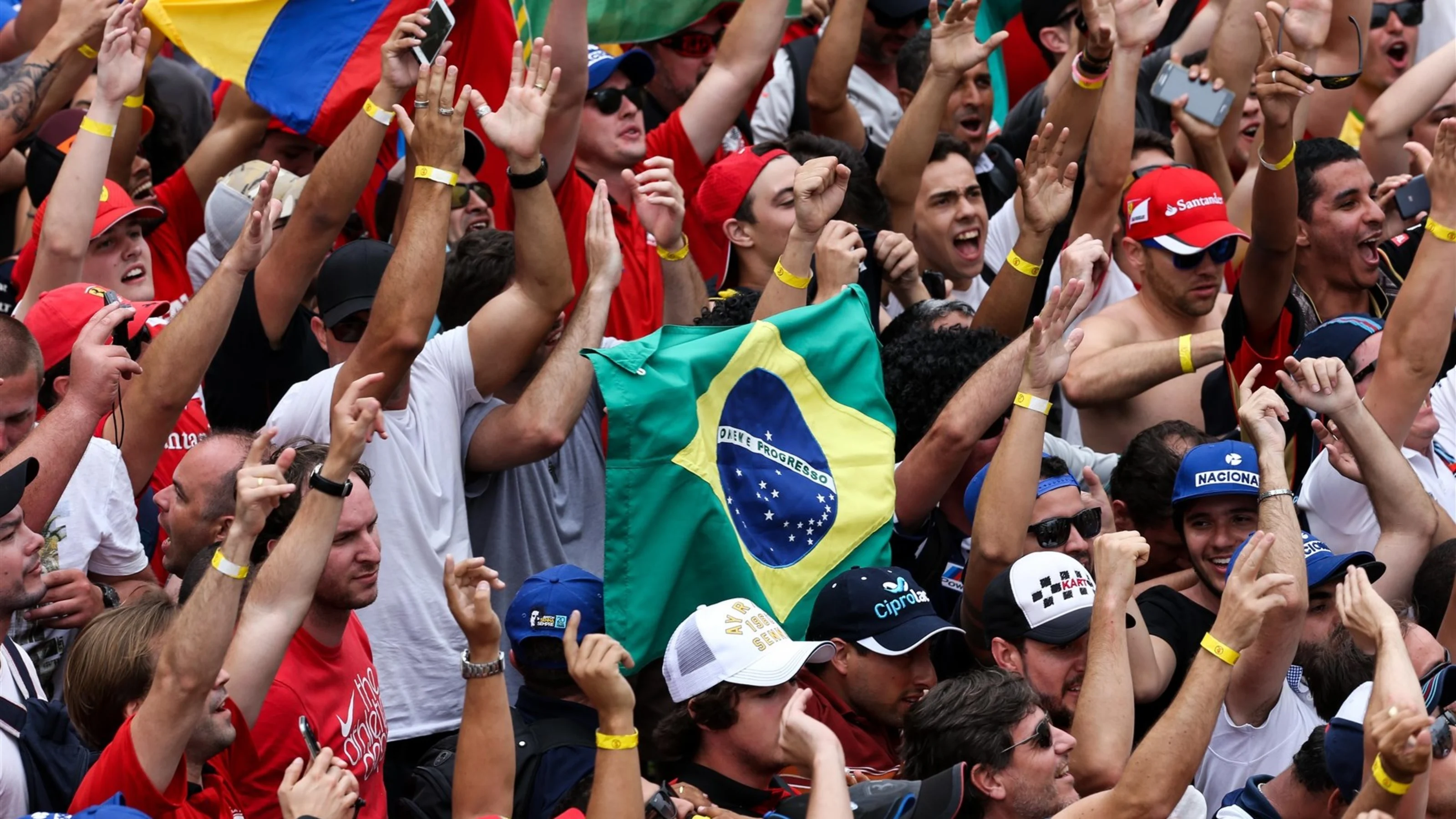 Fans at Formula One World Championship, Rd18, Brazilian Grand Prix, Race, Interlagos, Sao Paulo,