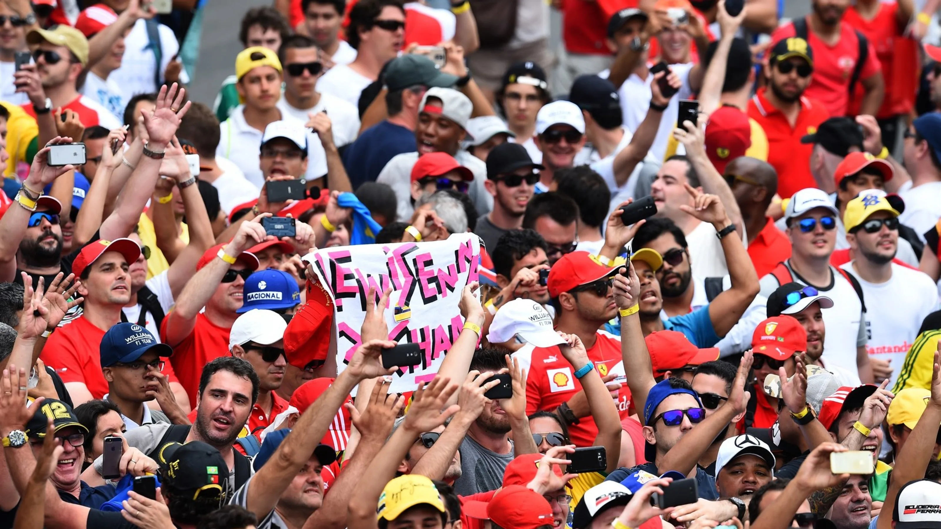 Fans at Formula One World Championship, Rd18, Brazilian Grand Prix, Race, Interlagos, Sao Paulo,