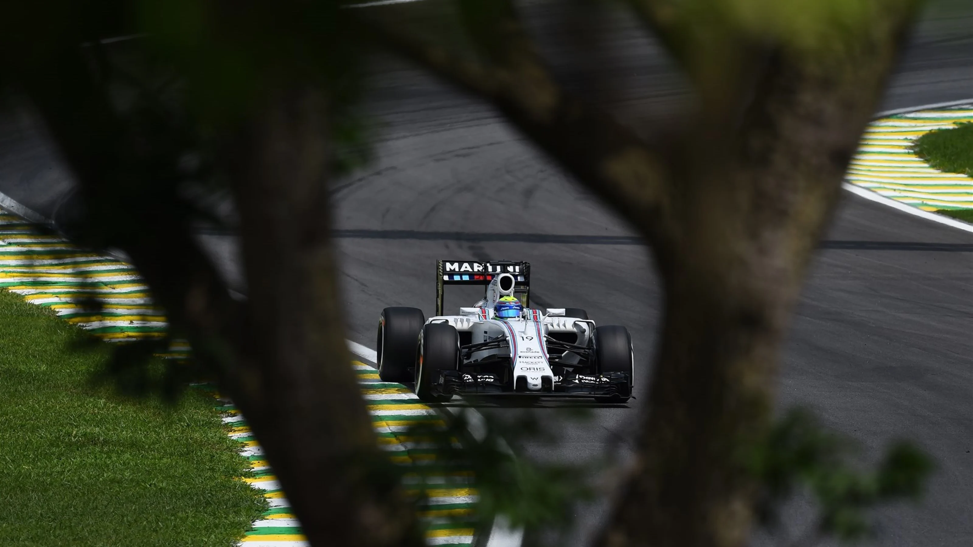 Felipe Massa (BRA) Williams FW37 at Formula One World Championship, Rd18, Brazilian Grand Prix,