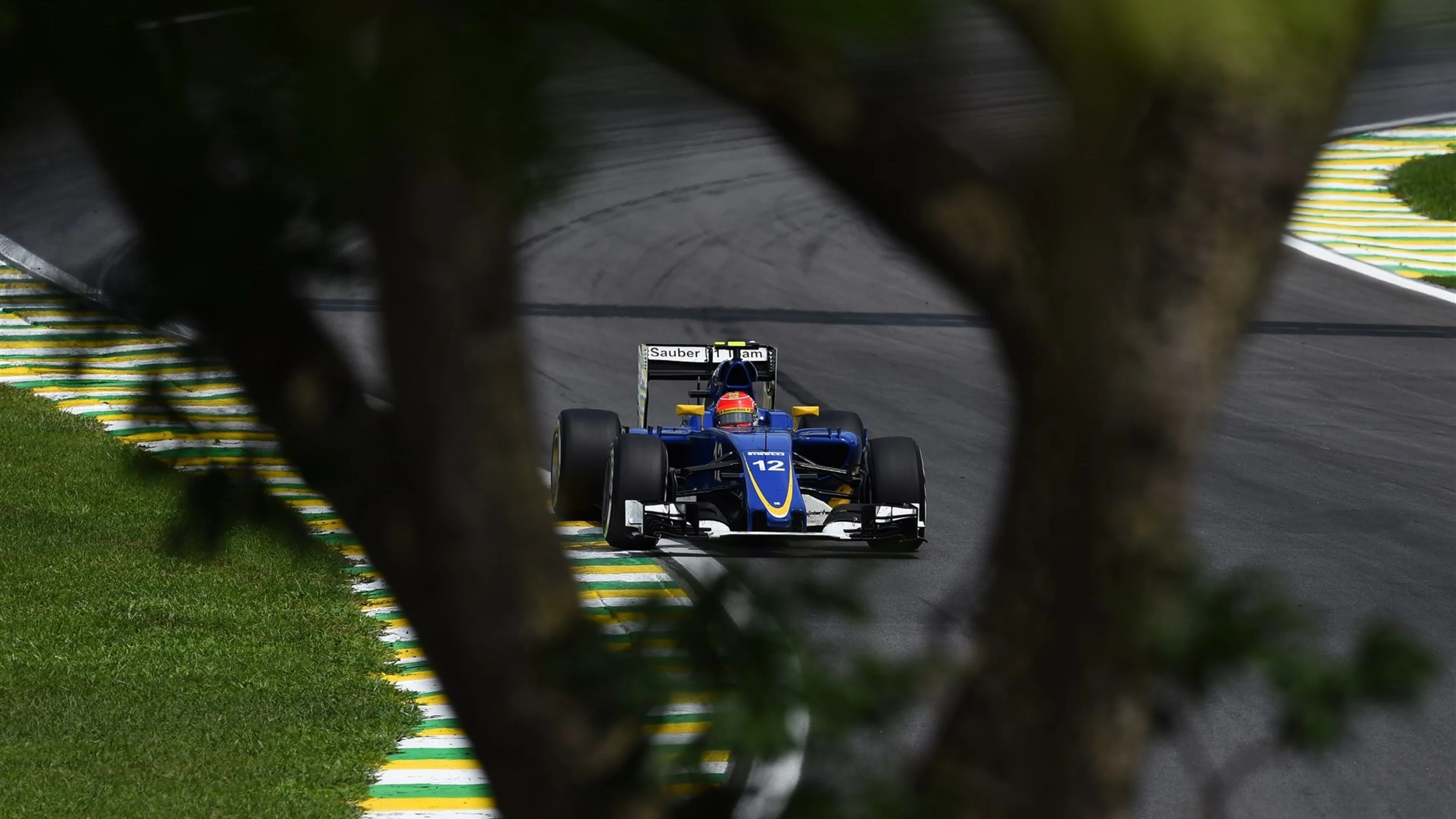 Felipe Nasr (BRA) Sauber C34 at Formula One World Championship, Rd18, Brazilian Grand Prix, Race,