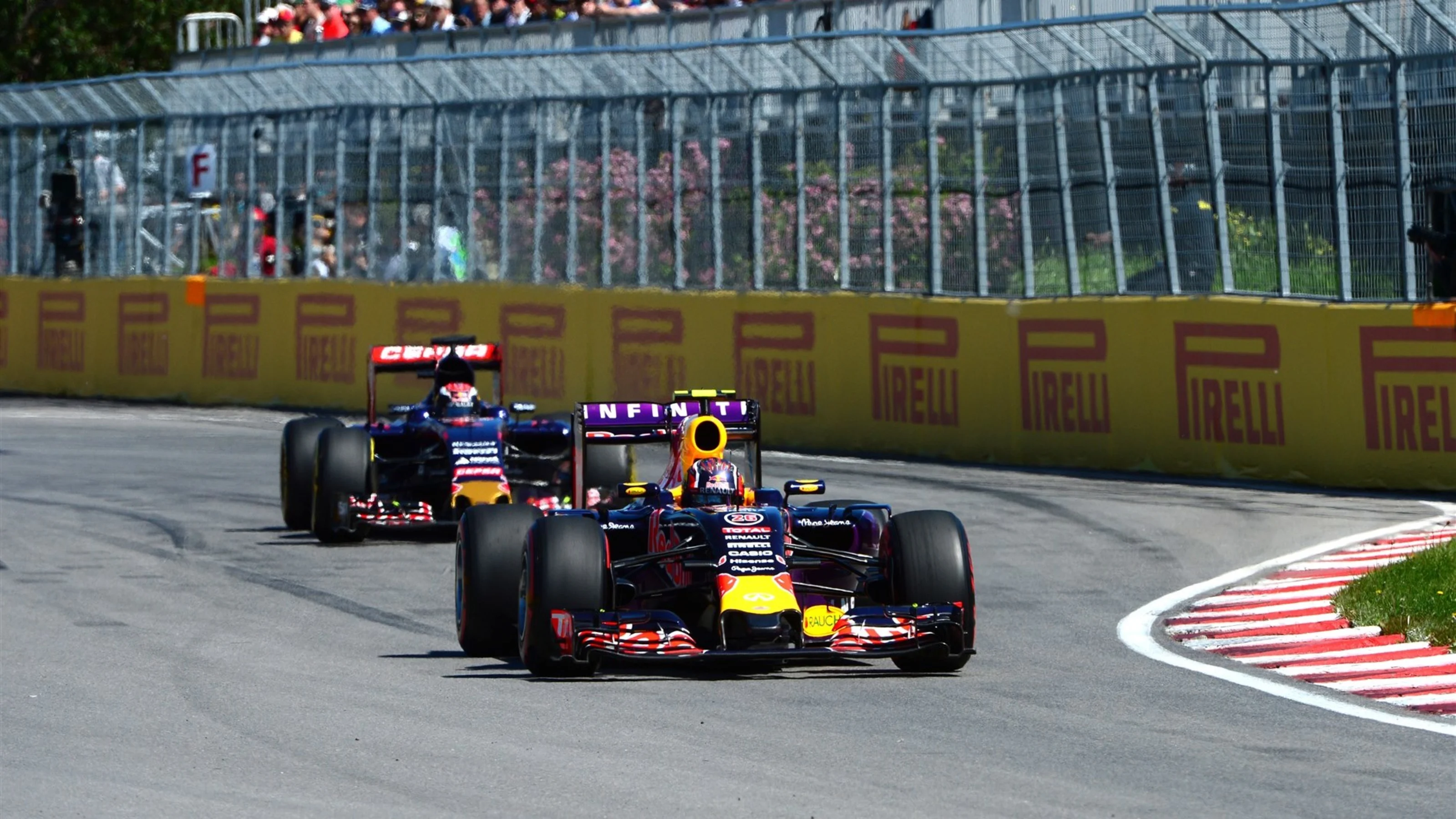 Daniil Kvyat (RUS) Red Bull Racing RB11 at Formula One World Championship, Rd7, Canadian Grand