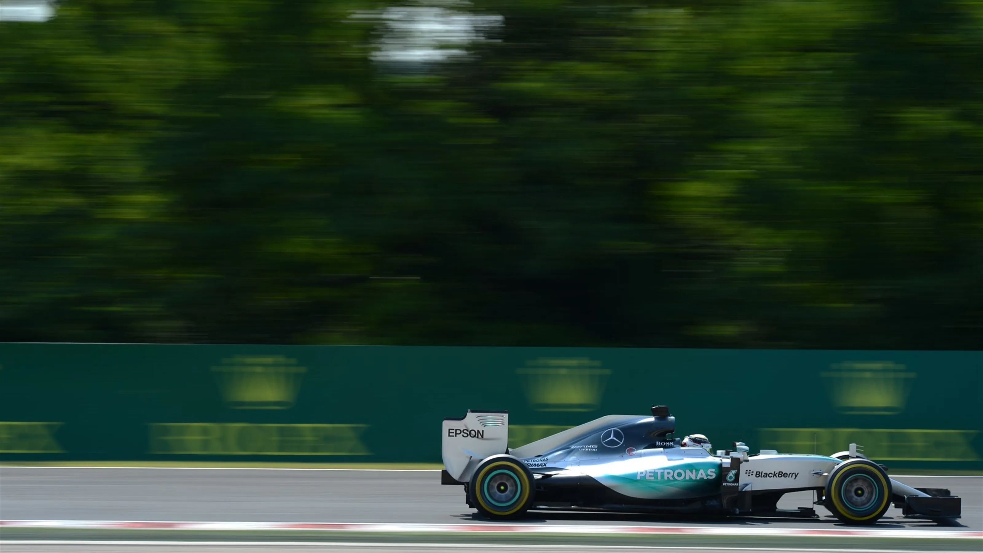 Lewis Hamilton (GBR) Mercedes AMG F1 W06 at Formula One World Championship, Rd10, Hungarian Grand