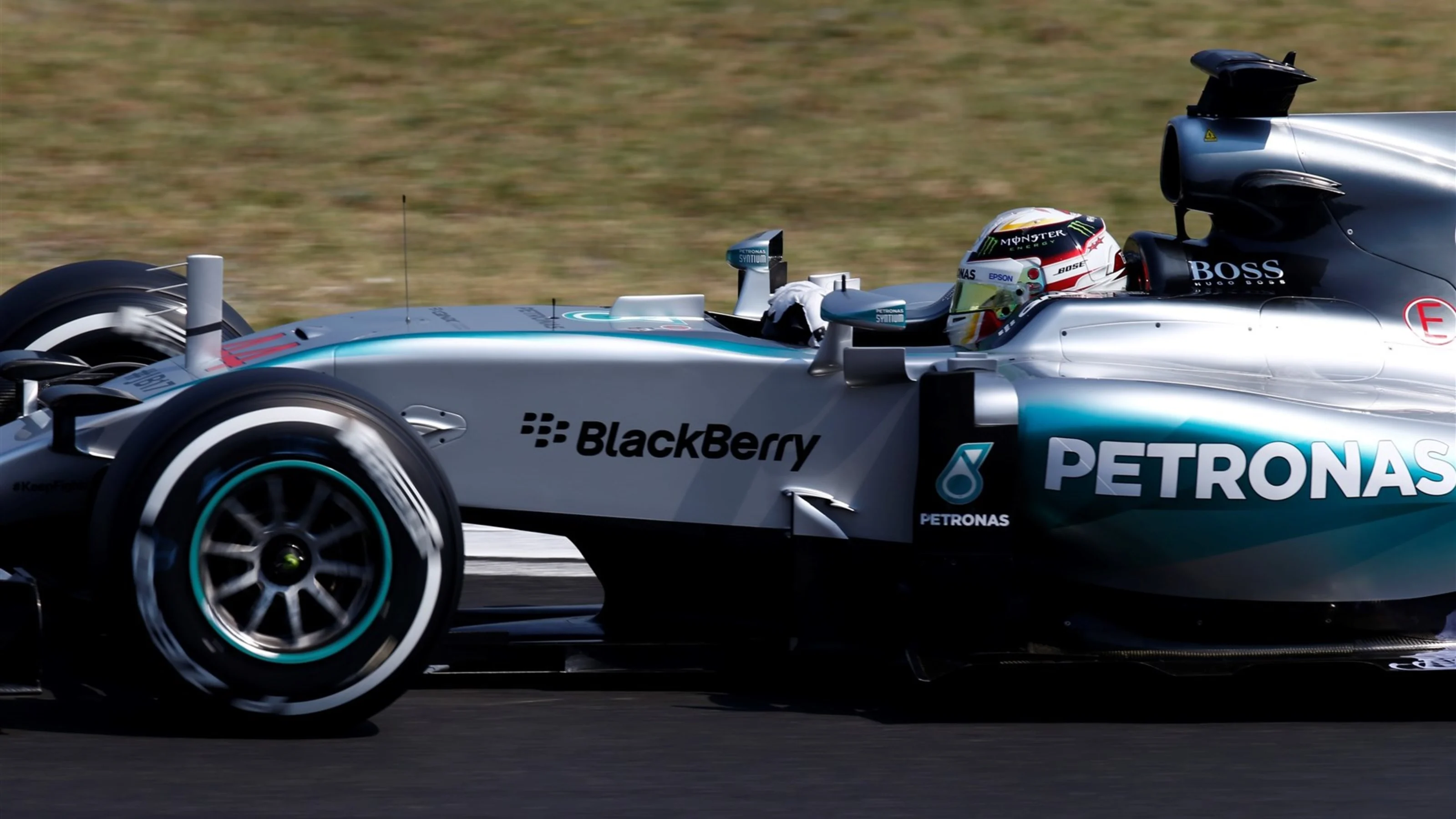 Lewis Hamilton (GBR) Mercedes AMG F1 W06 at Formula One World Championship, Rd10, Hungarian Grand