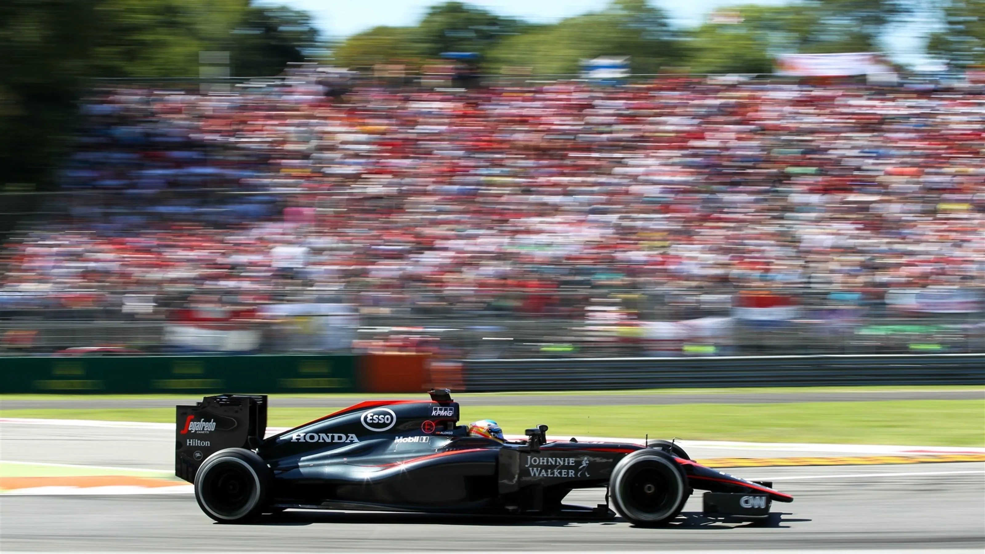 Fernando Alonso (ESP) McLaren MP4-30 at Formula One World Championship, Rd12, Italian Grand Prix,