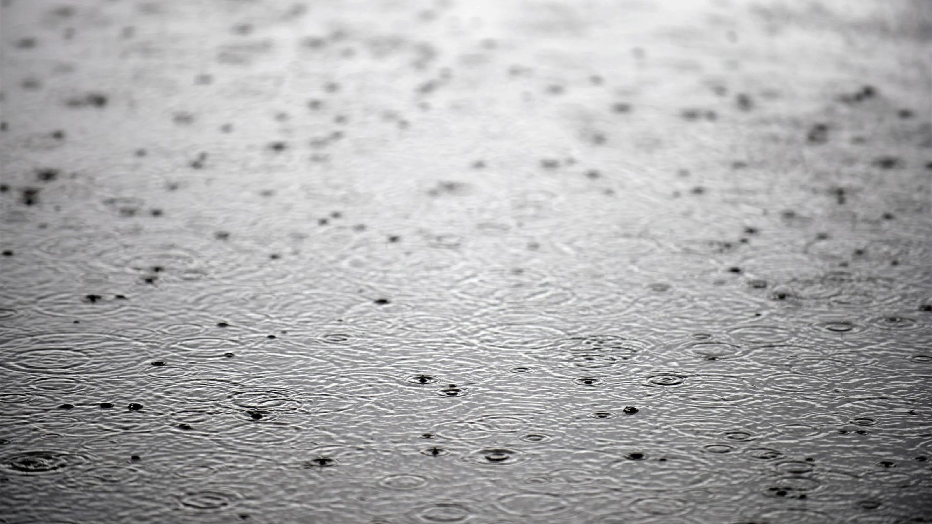 Rain at Formula One World Championship, Rd16, United States Grand Prix, Practice, Austin, Texas,