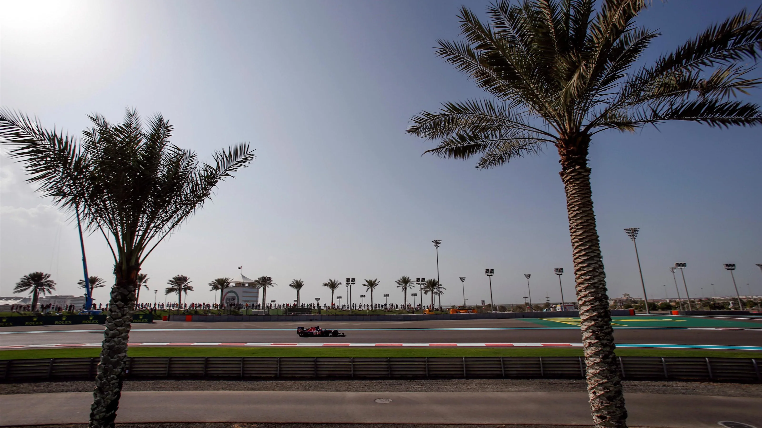 Daniil Kvyat (RUS) Scuderia Toro Rosso STR11 at Formula One World Championship, Rd21, Abu Dhabi