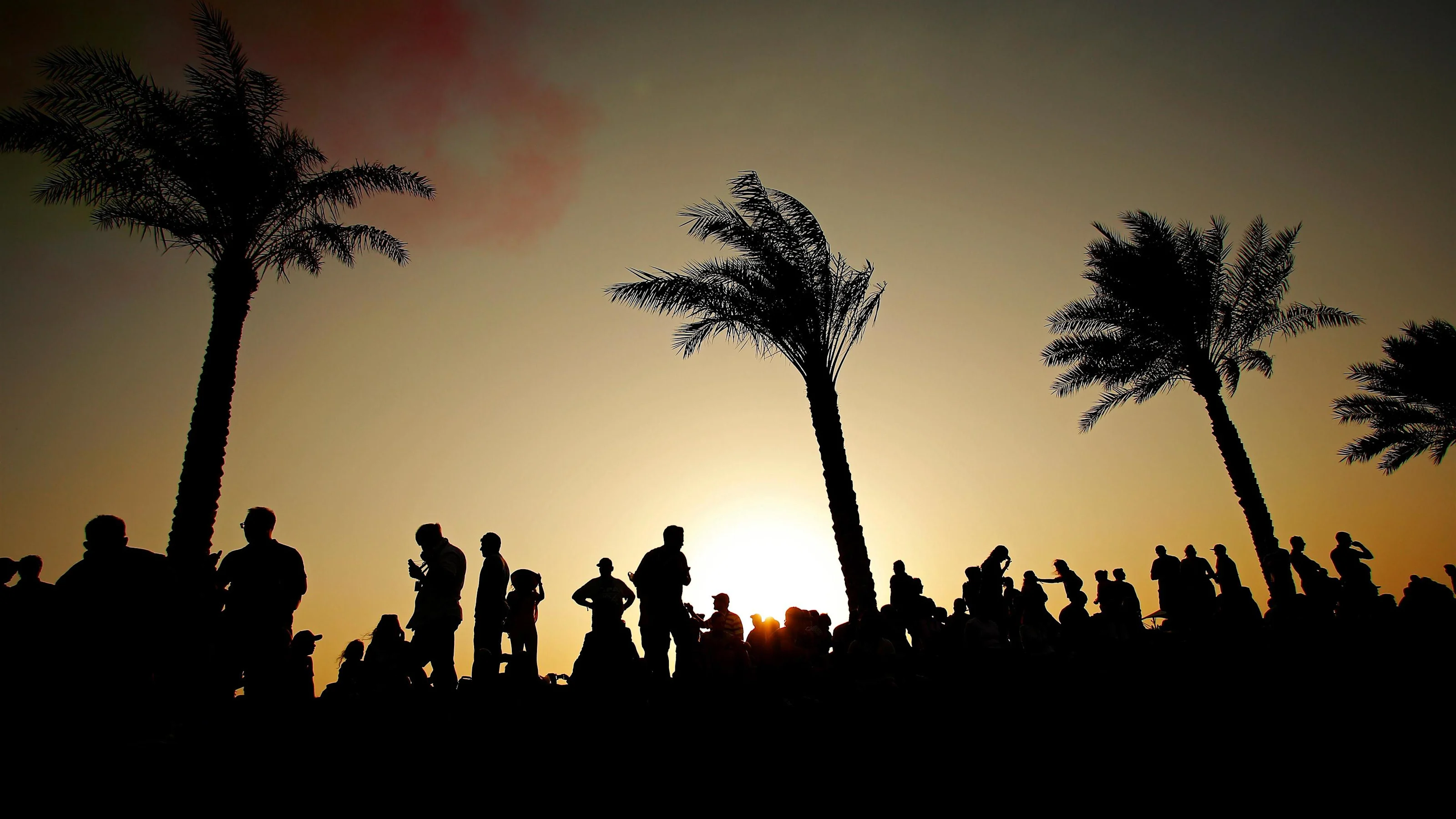 Fans at sunset at Formula One World Championship, Rd21, Abu Dhabi Grand Prix, Qualifying, Yas