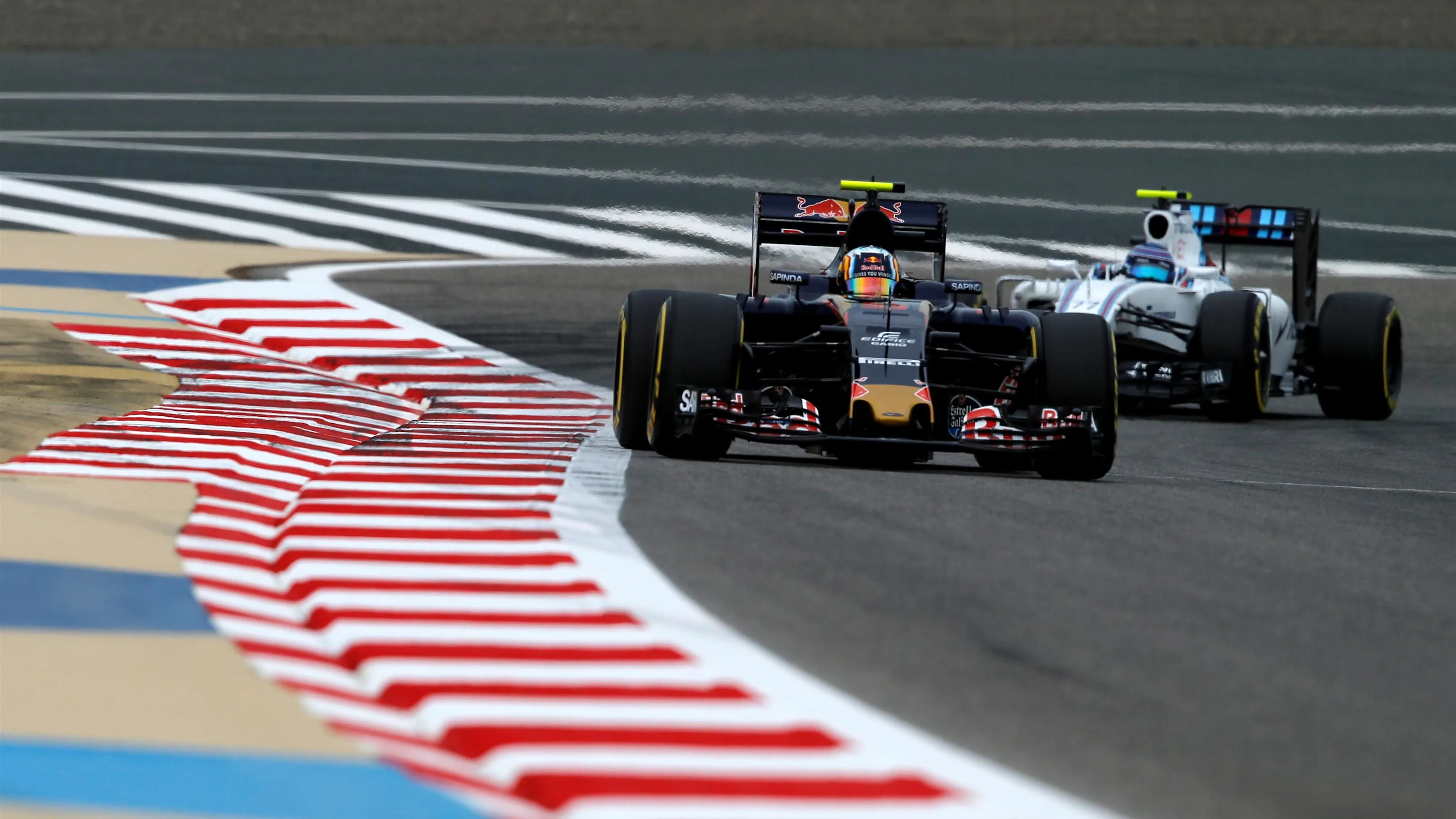 Carlos Sainz jr (ESP) Scuderia Toro Rosso STR11 at Formula One World Championship, Rd2, Bahrain