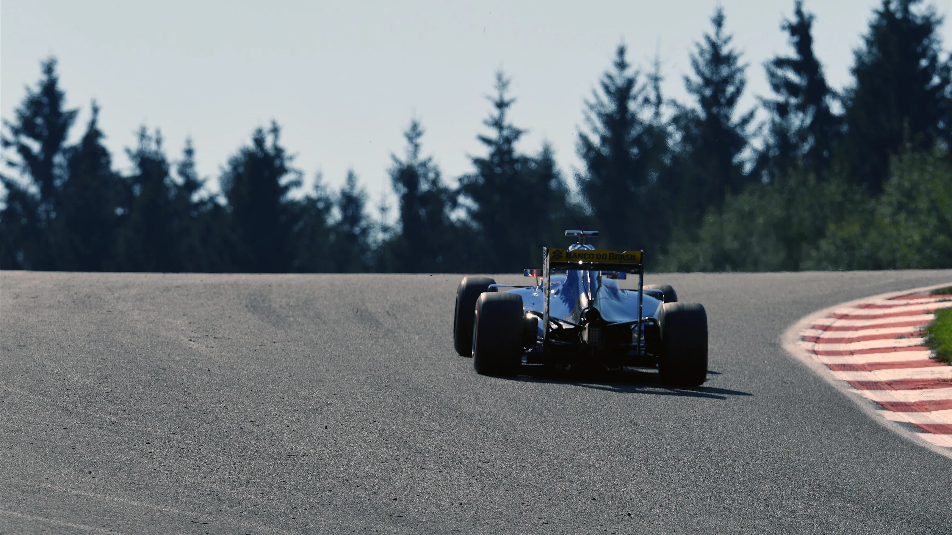 Felipe Nasr (BRA) Sauber C35 at Formula One World Championship, Rd13, Belgian Grand Prix,