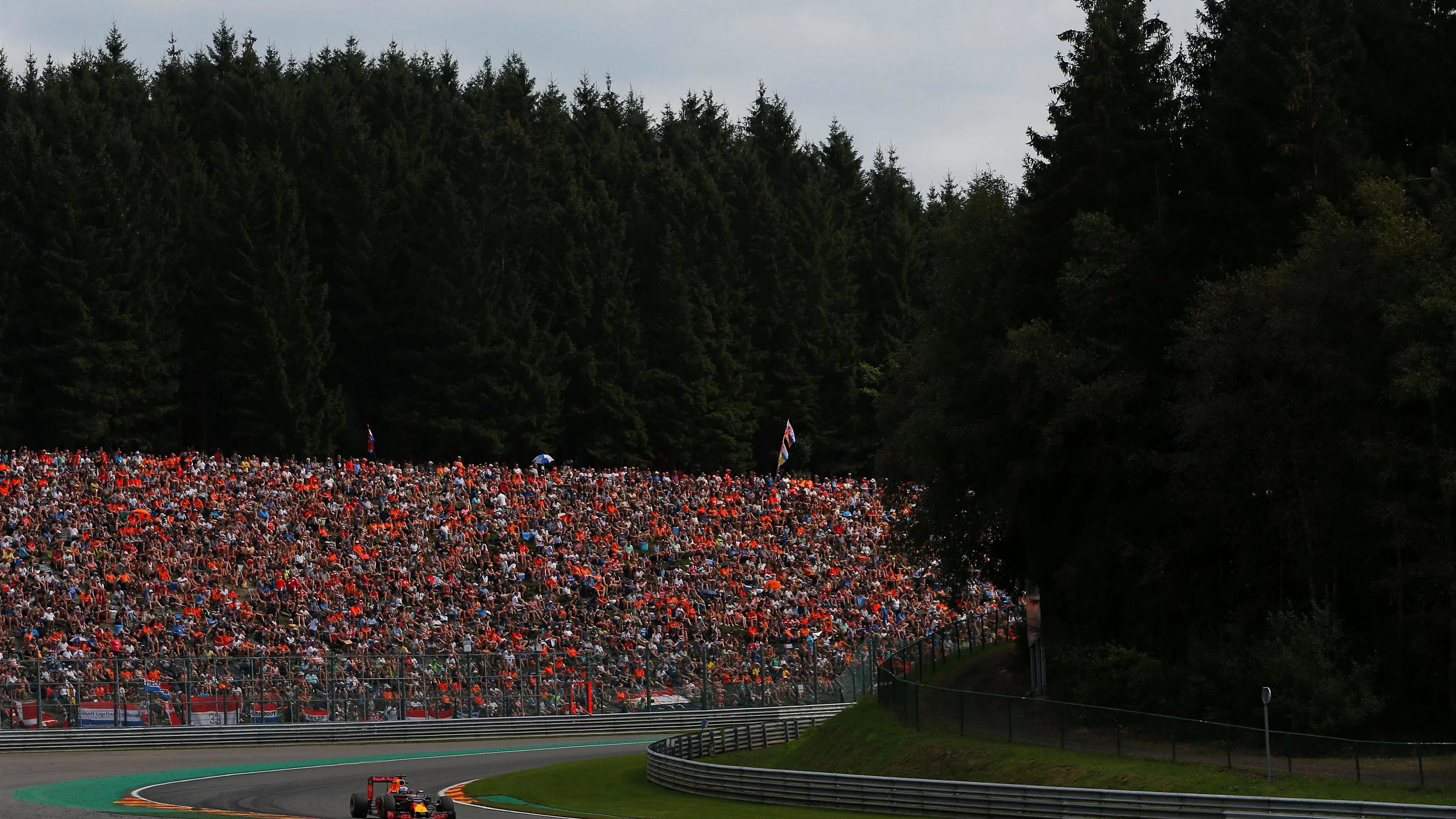 Daniel Ricciardo (AUS) Red Bull Racing RB12 at Formula One World Championship, Rd13, Belgian Grand
