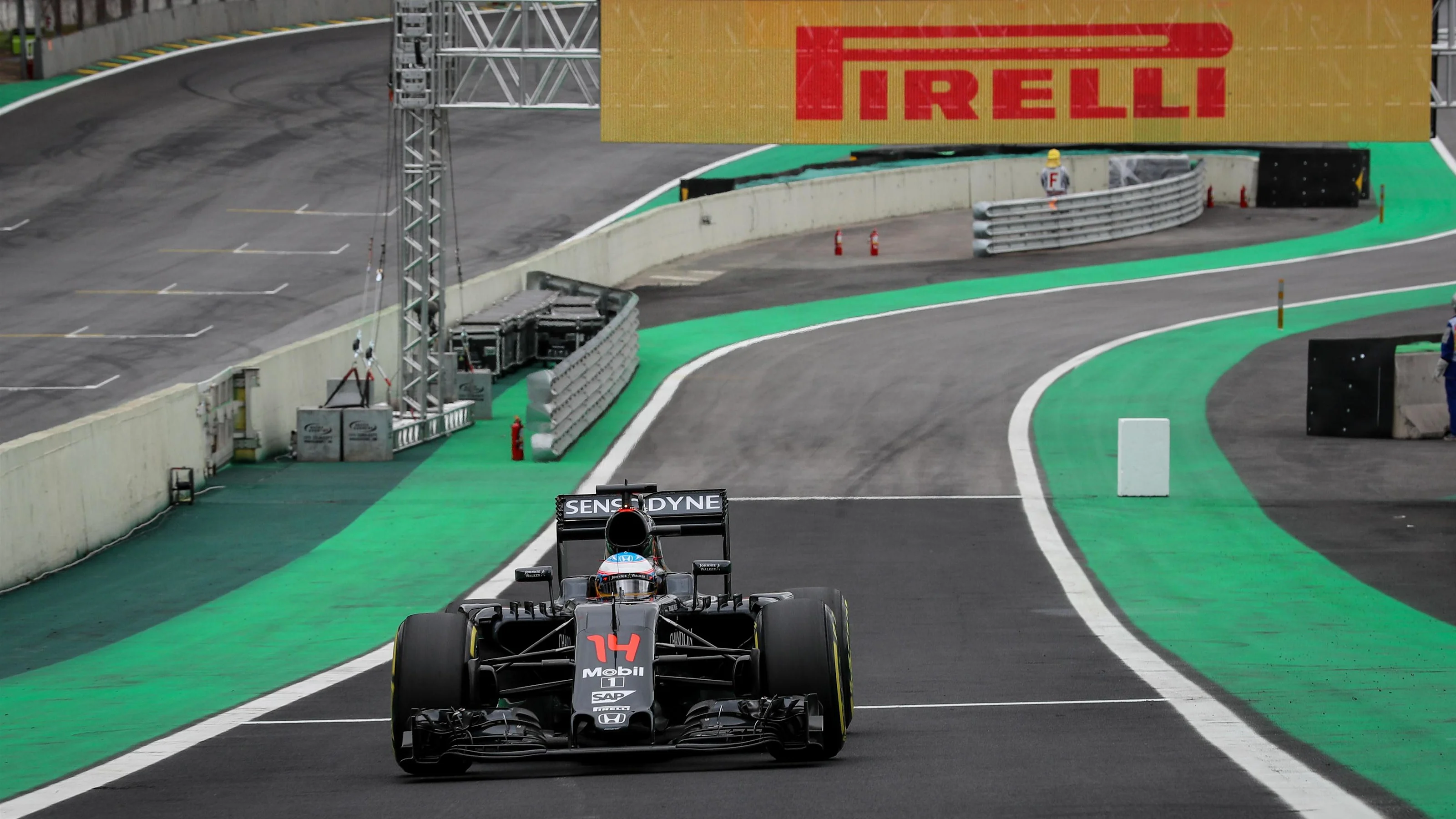 Fernando Alonso (ESP) McLaren MP4-31 at Formula One World Championship, Rd20, Brazilian Grand Prix,