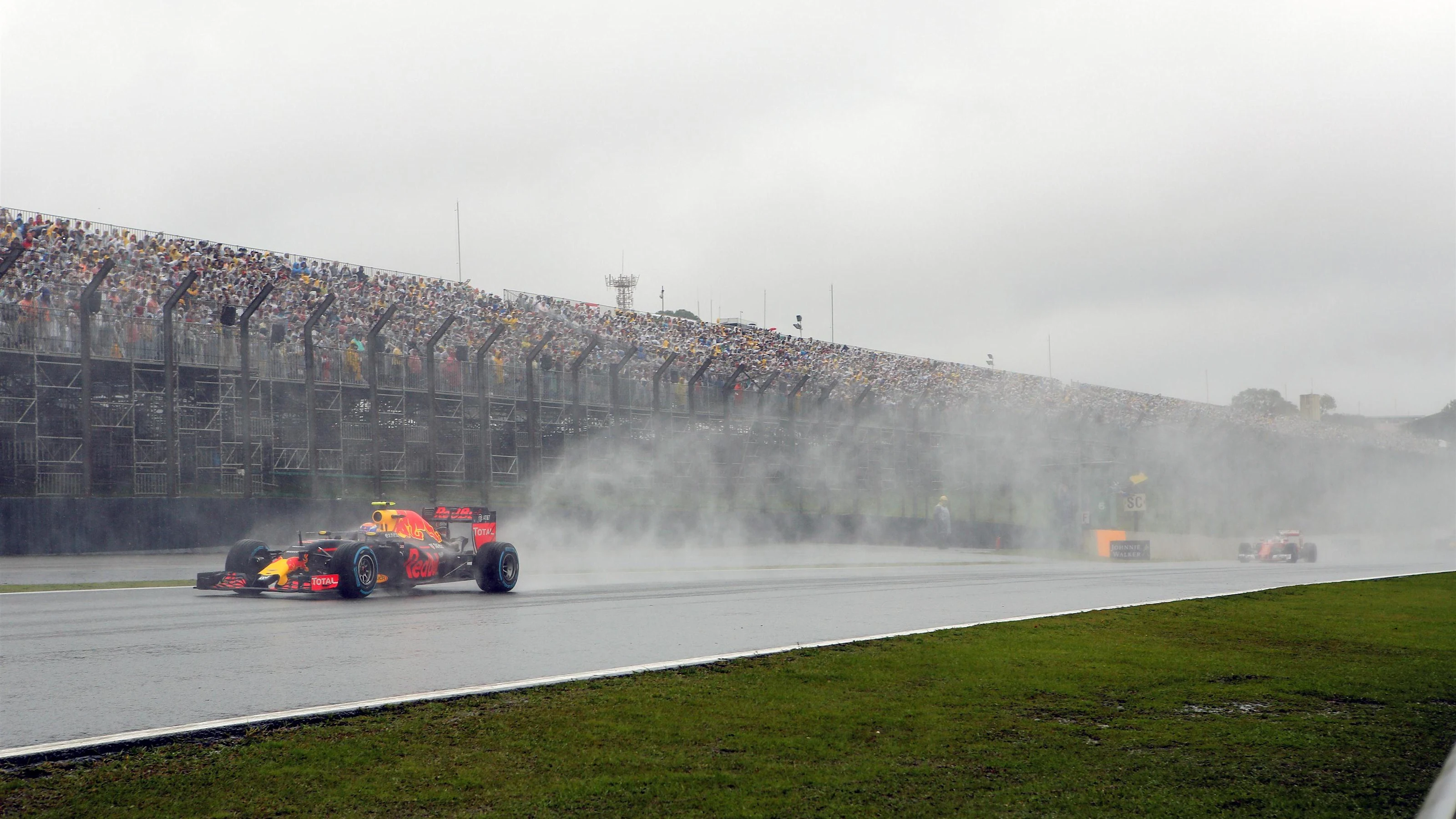 Max Verstappen (NED) Red Bull Racing RB12 at Formula One World Championship, Rd20, Brazilian Grand