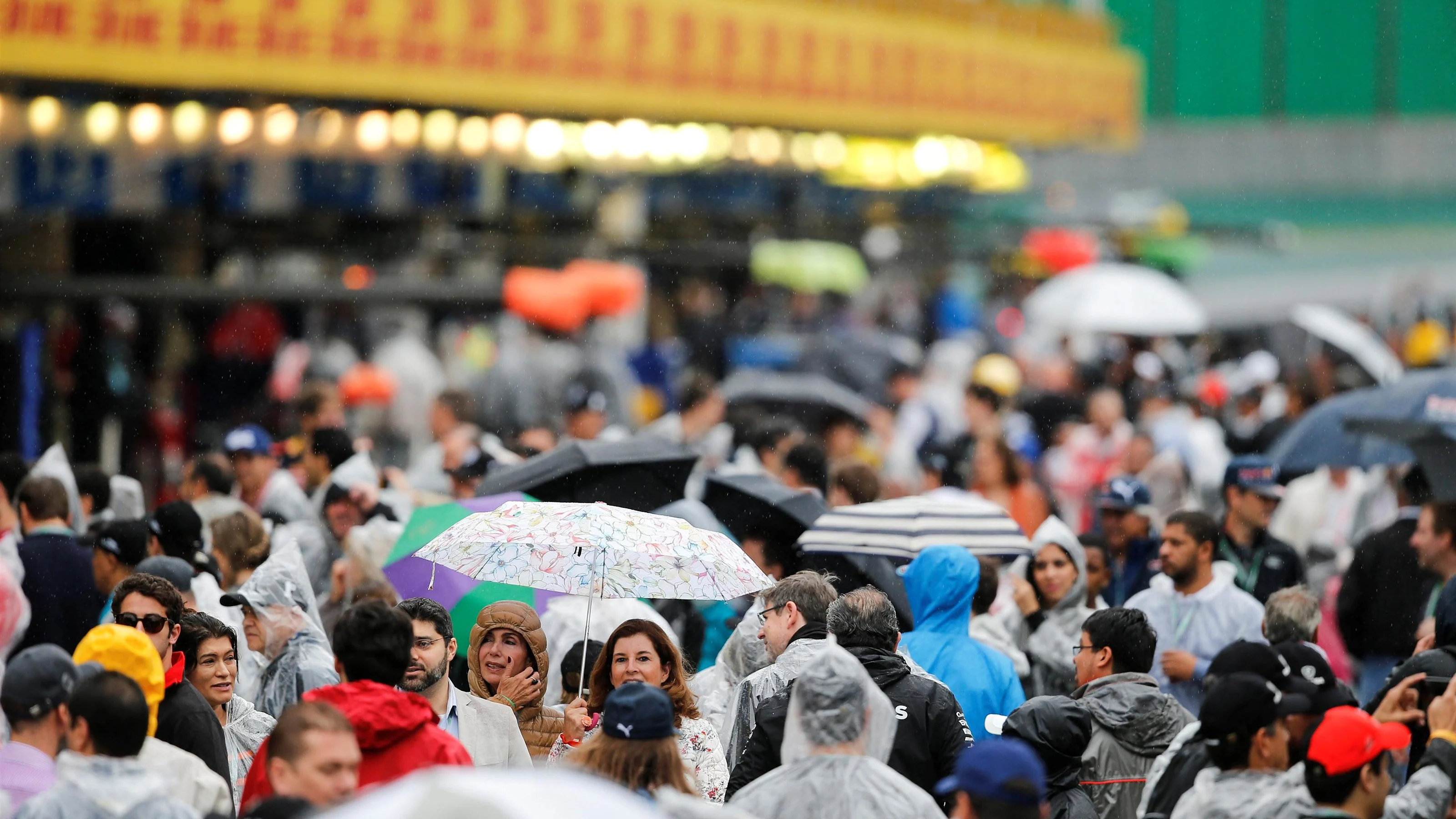 Fans at Formula One World Championship, Rd20, Brazilian Grand Prix, Race, Interlagos, Sao Paulo,