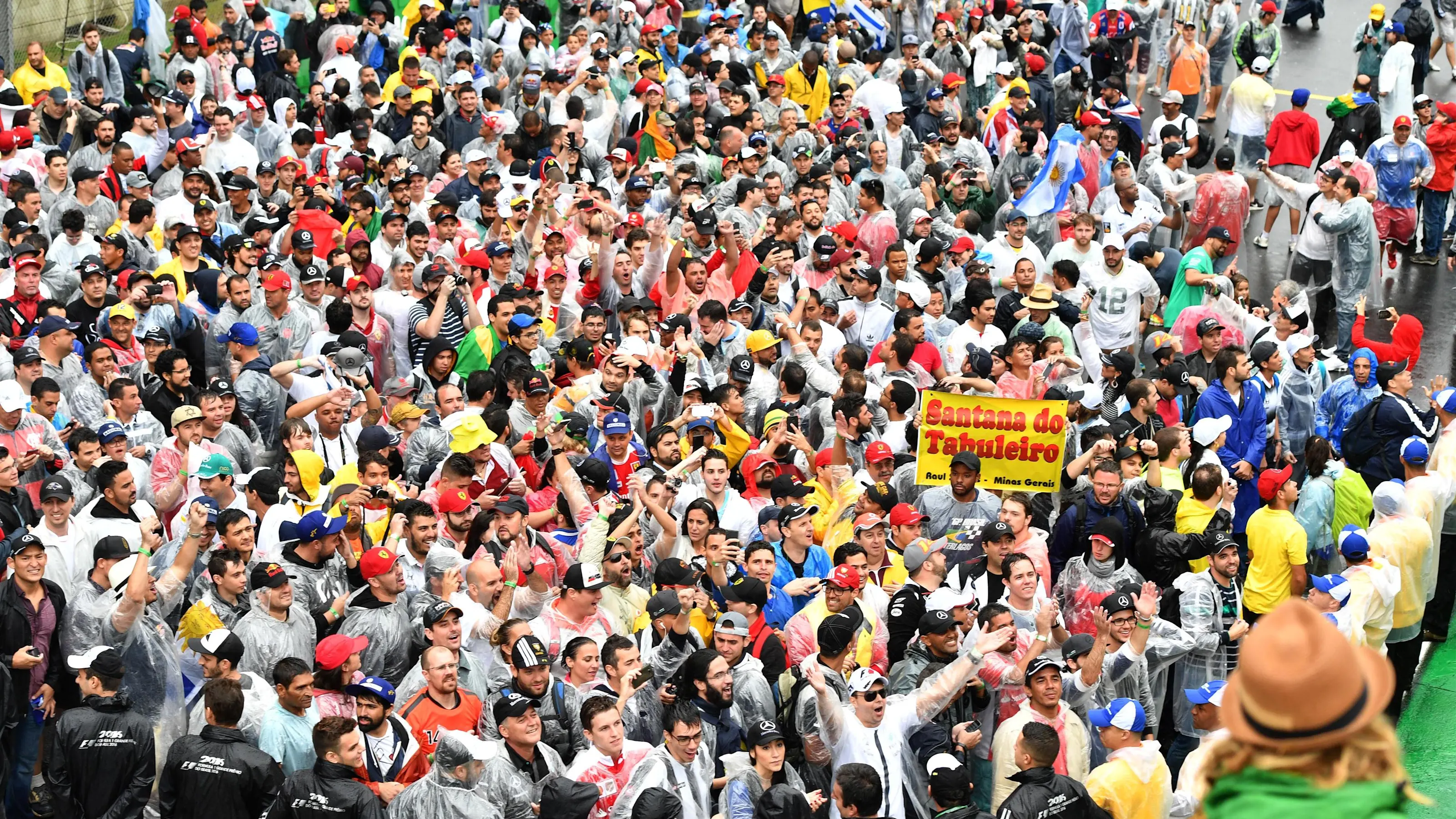 Fans at Formula One World Championship, Rd20, Brazilian Grand Prix, Race, Interlagos, Sao Paulo,