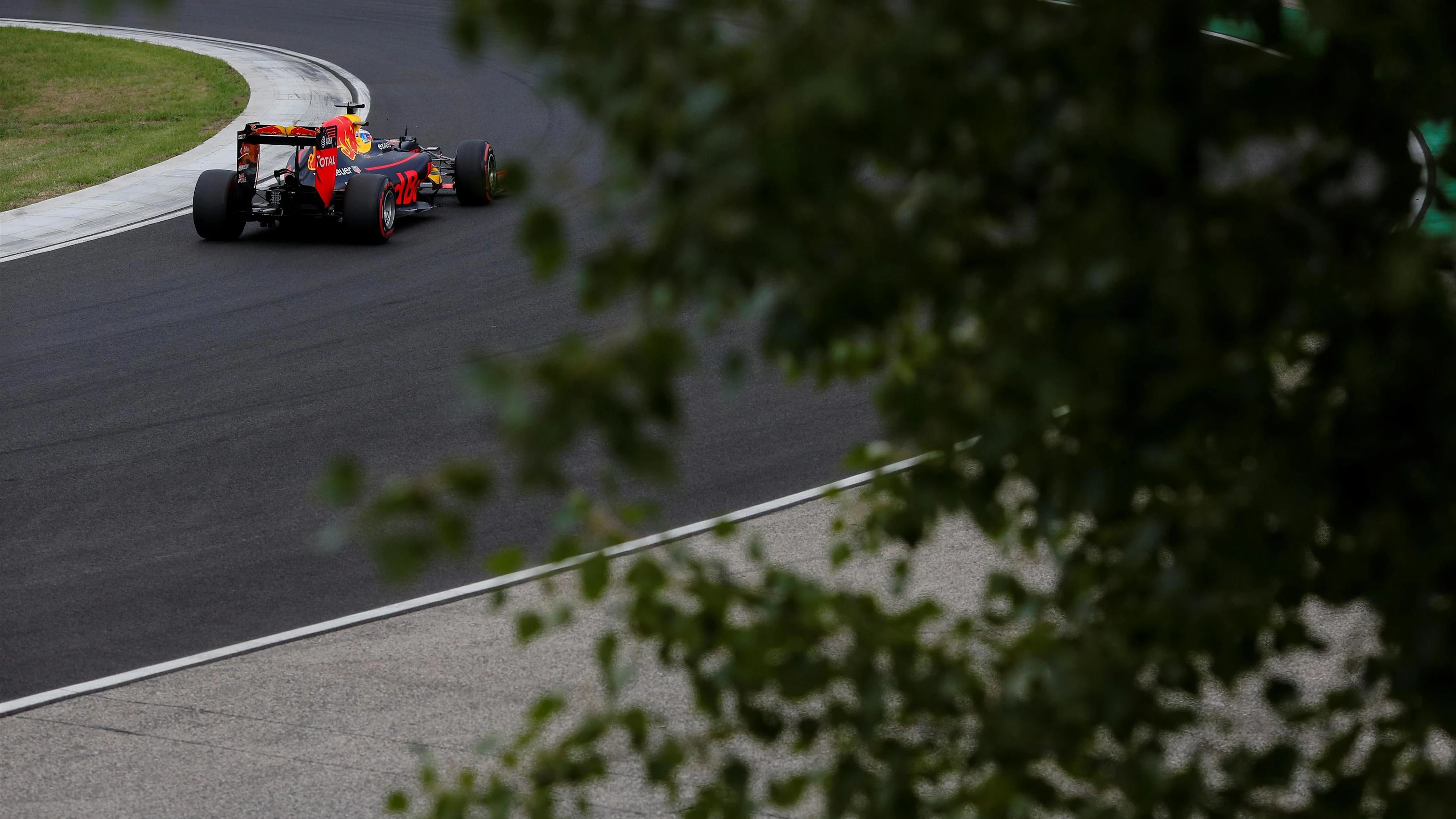 Daniel Ricciardo (AUS) Red Bull Racing RB12 at Formula One World Championship, Rd11, Practice,