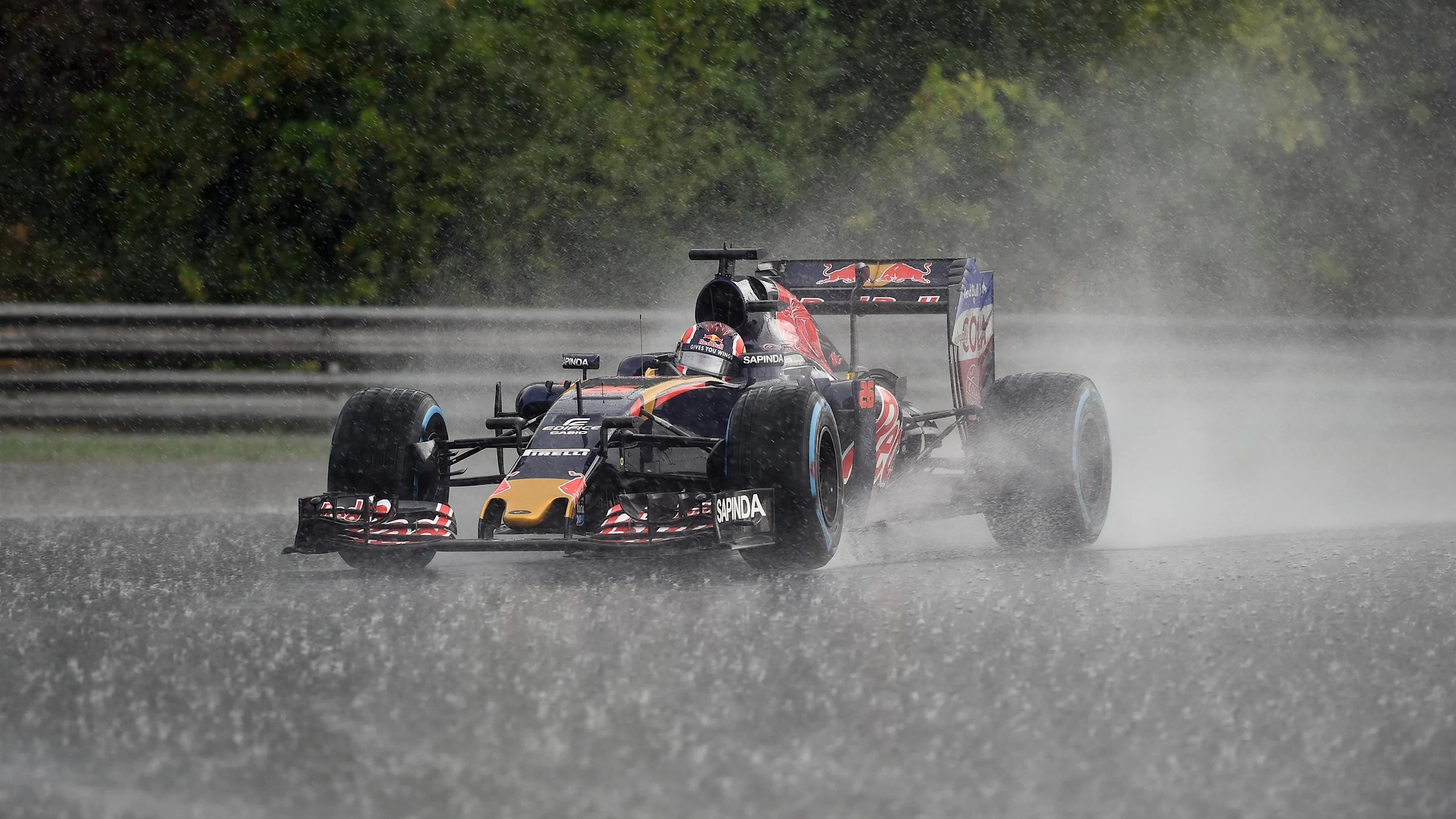 Daniil Kvyat (RUS) Scuderia Toro Rosso STR11 at Formula One World Championship, Rd11, Hungarian
