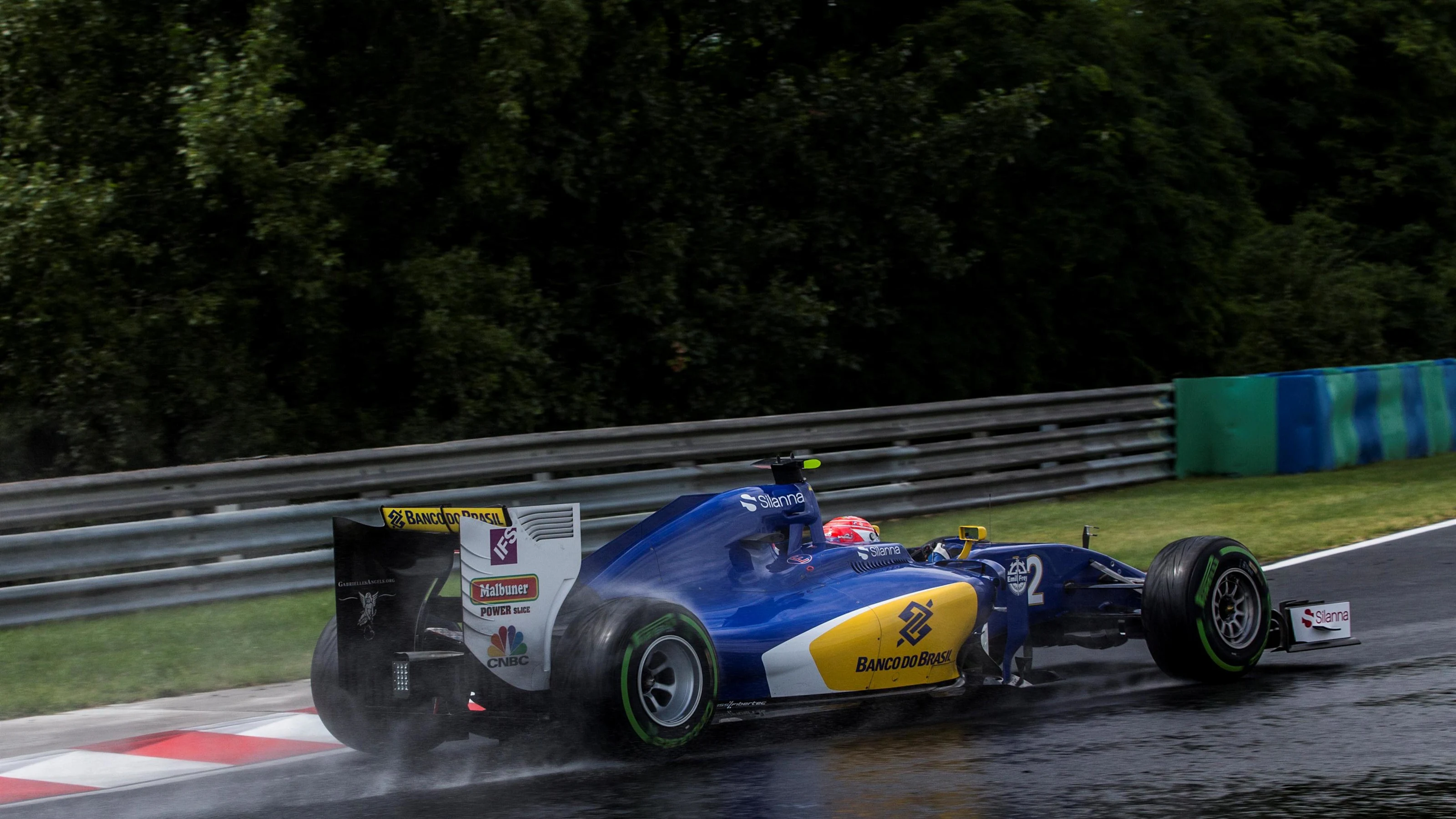 Felipe Nasr (BRA) Sauber C35 at Formula One World Championship, Rd11, Hungarian Grand Prix,