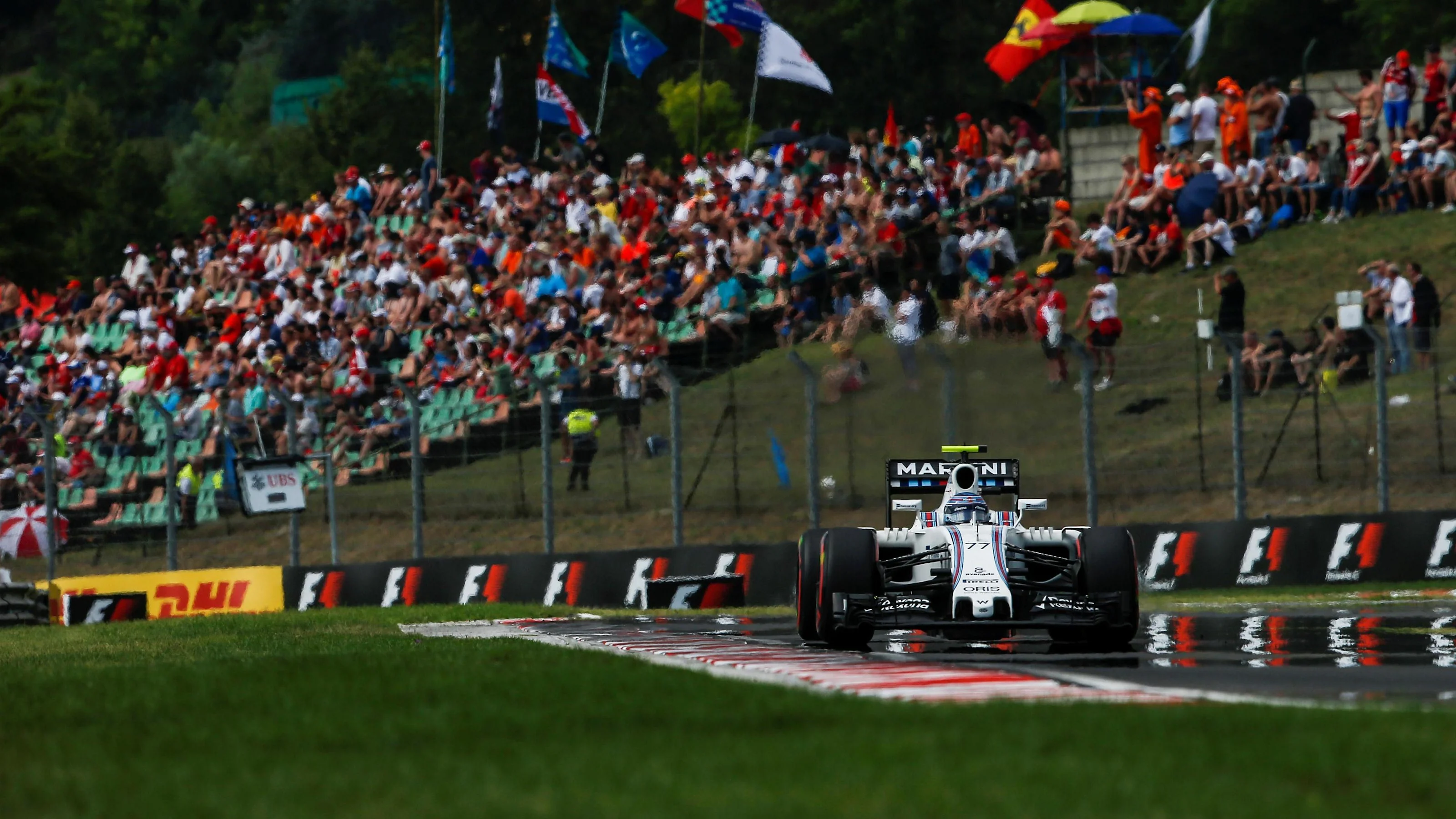 Valtteri Bottas (FIN) Williams FW38 at Formula One World Championship, Rd11, Hungarian Grand Prix,