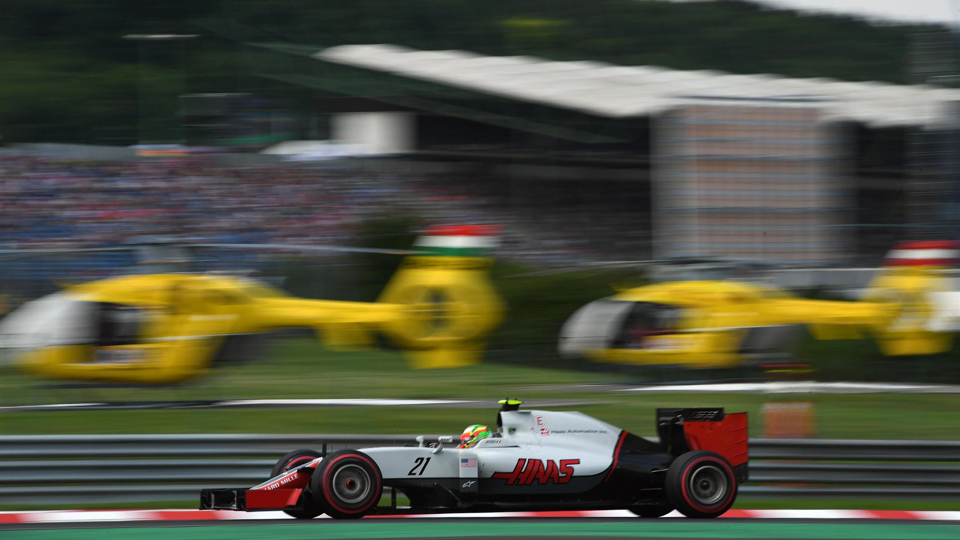 Esteban Gutierrez (MEX) Haas VF-16 at Formula One World Championship, Rd11, Hungarian Grand Prix,