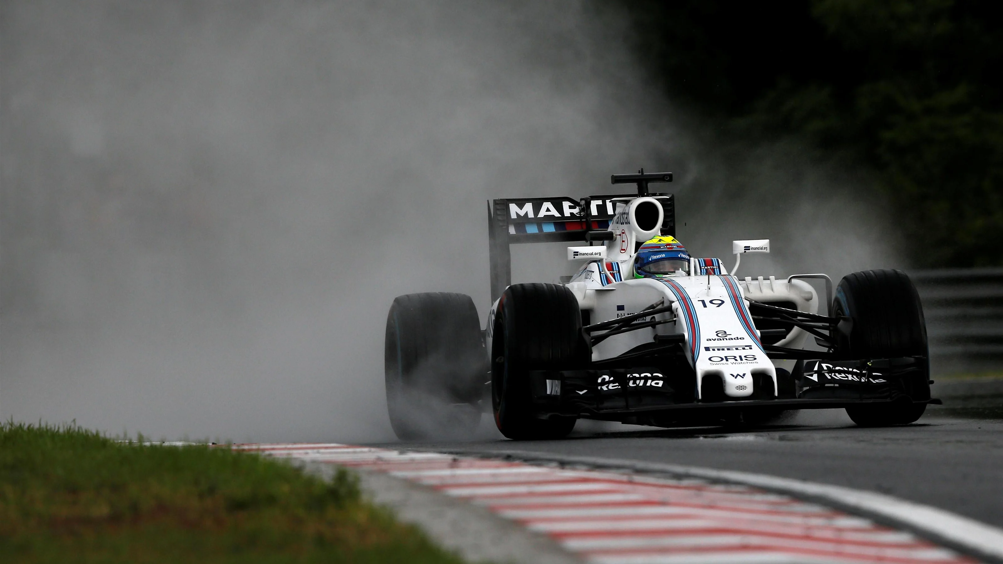 Felipe Massa (BRA) Williams FW38 at Formula One World Championship, Rd11, Hungarian Grand Prix,