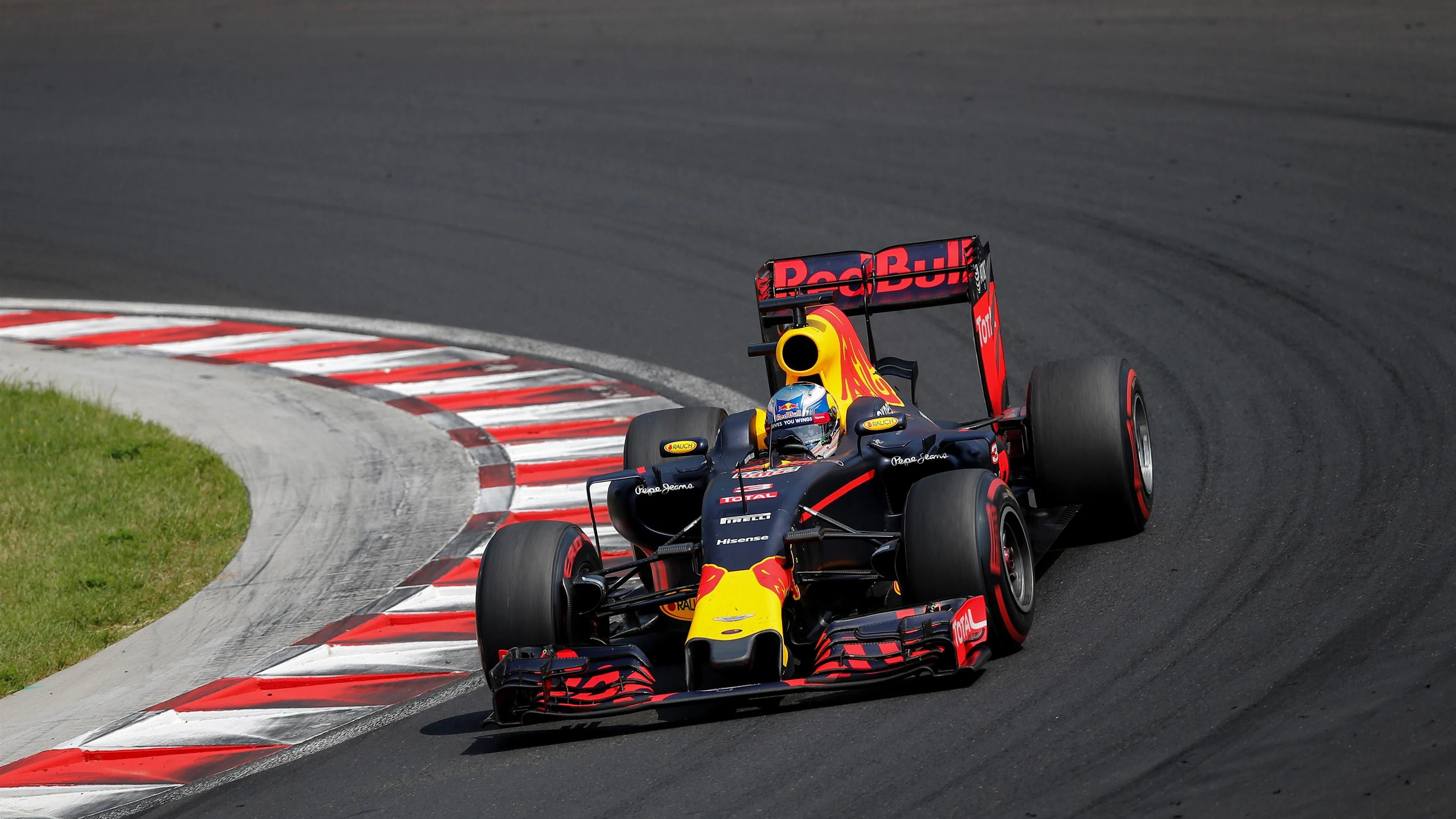 Daniel Ricciardo (AUS) Red Bull Racing RB12 at Formula One World Championship, Rd11, Hungarian