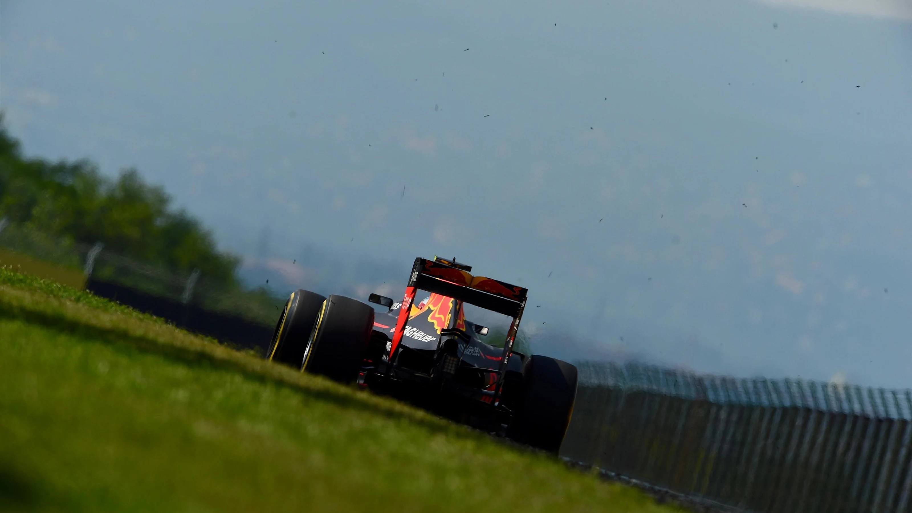 Max Verstappen (NED) Red Bull Racing RB12 at Formula One World Championship, Rd11, Hungarian Grand