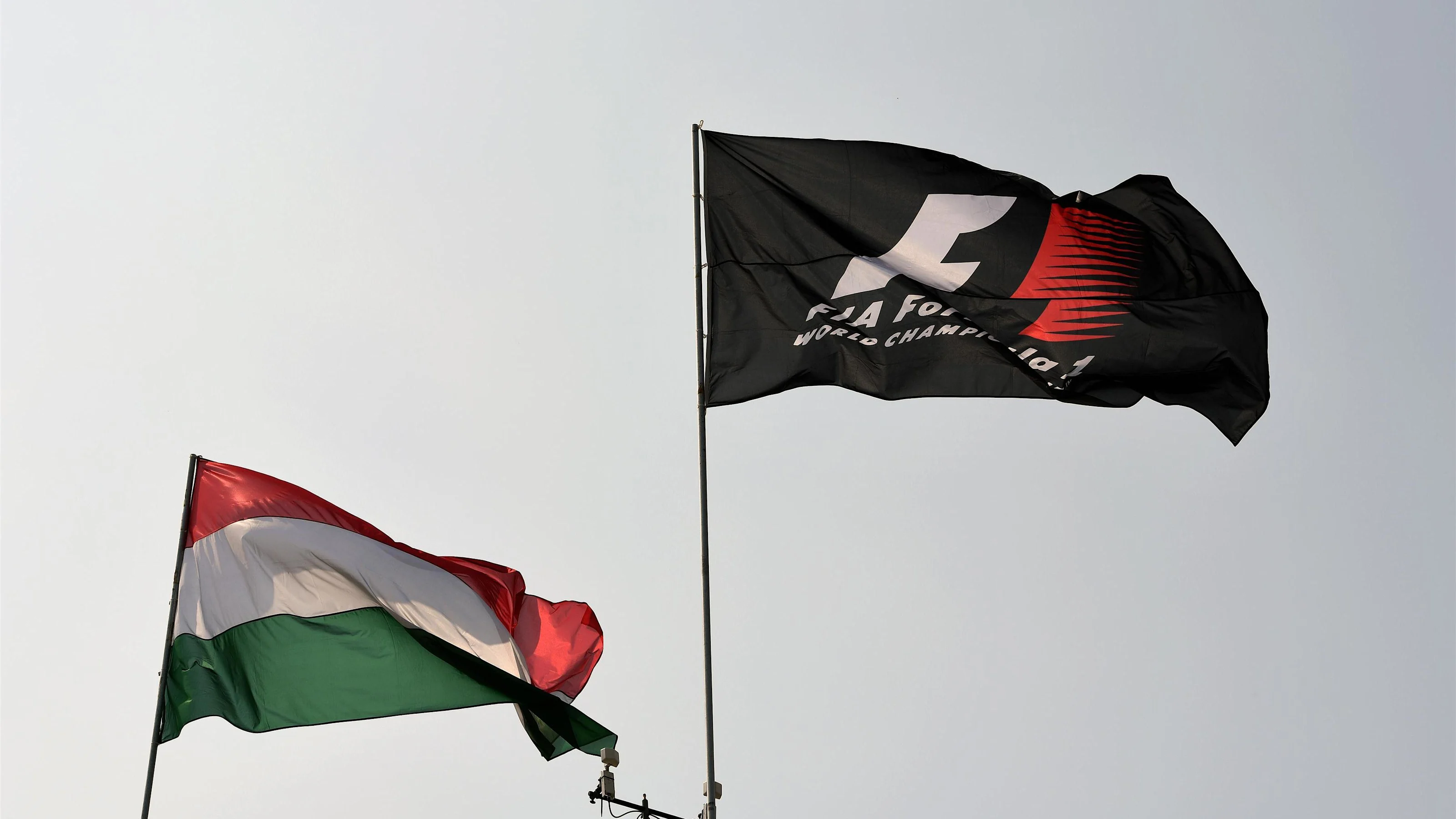 Flags at Formula One World Championship, Rd11, Hungarian Grand Prix, Race, Hungaroring, Hungary,