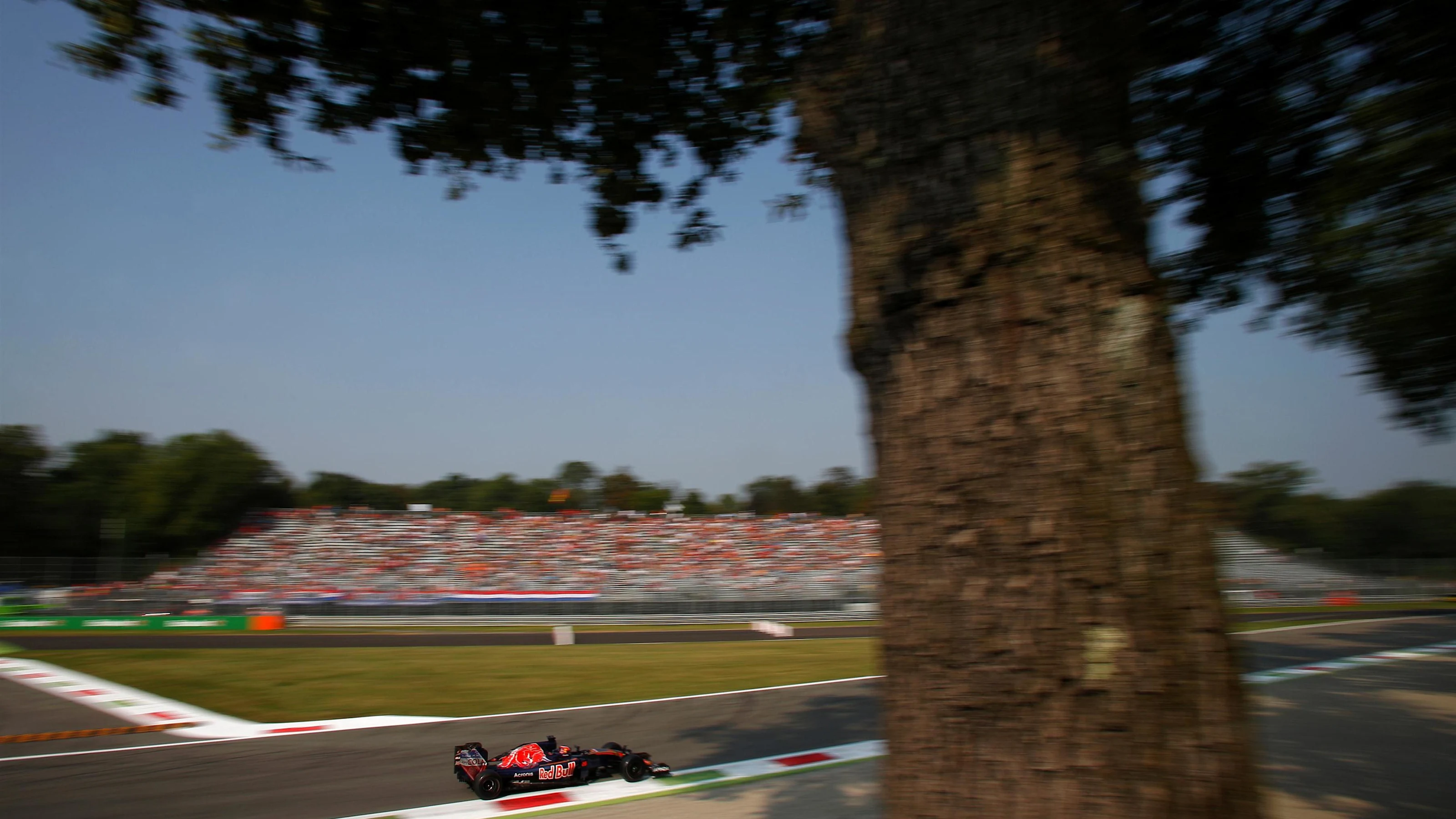 Daniil Kvyat (RUS) Scuderia Toro Rosso STR11 at Formula One World Championship, Rd14, Italian Grand