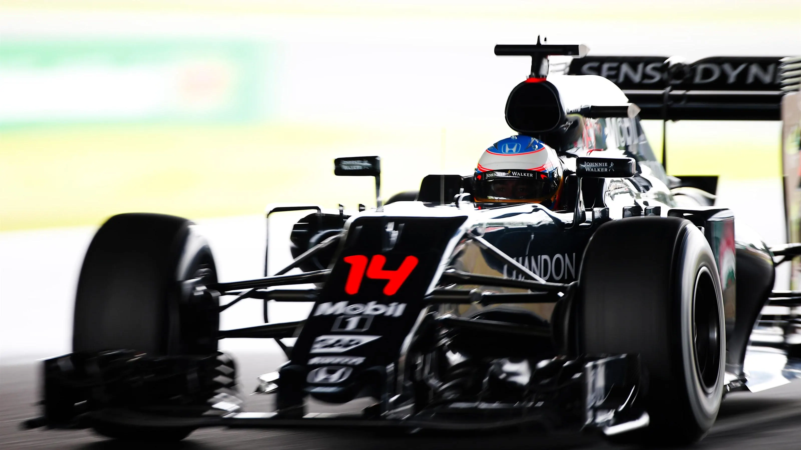 Fernando Alonso (ESP) McLaren MP4-31 at Formula One World Championship, Rd17, Japanese Grand Prix,