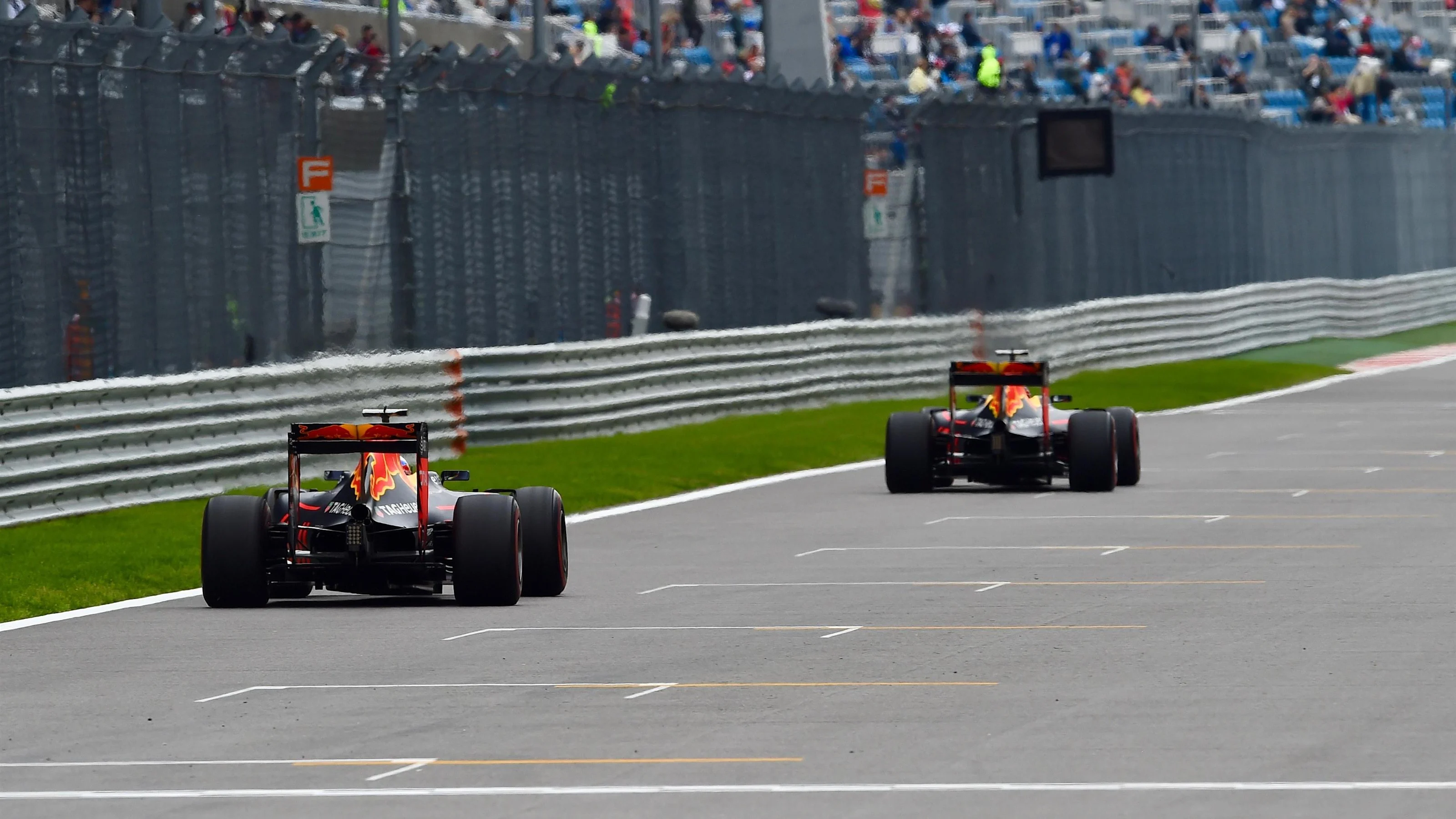 Daniel Ricciardo (AUS) Red Bull Racing RB12 at Formula One World Championship, Rd4, Russian Grand