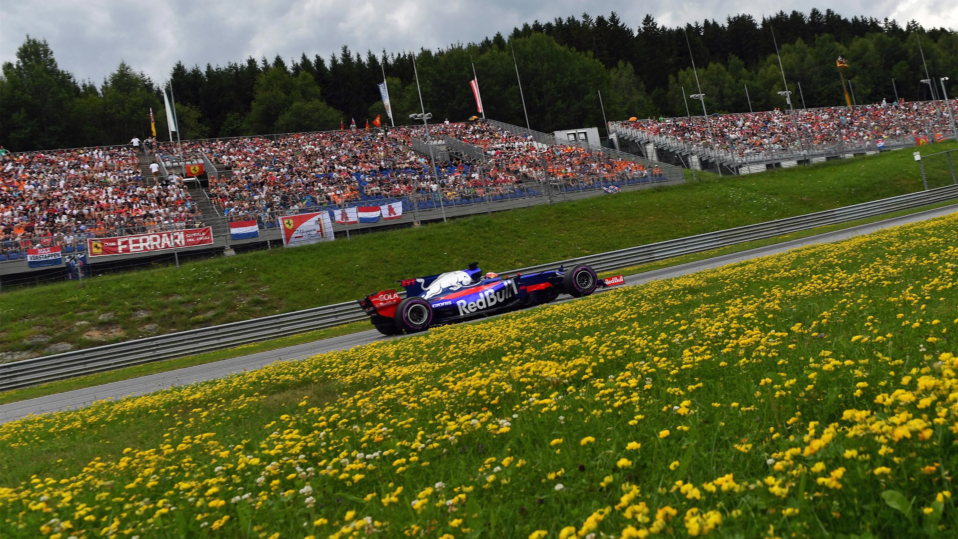 Daniil Kvyat (RUS) Scuderia Toro Rosso STR12 at Formula One World Championship, Rd9, Austrian Grand
