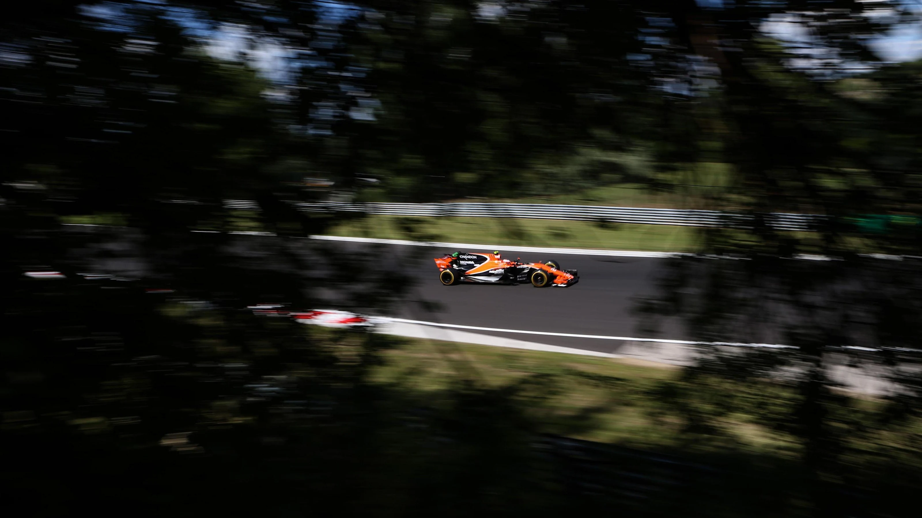 Stoffel Vandoorne (BEL) McLaren MCL32 at Formula One World Championship, Rd11, Hungarian Grand