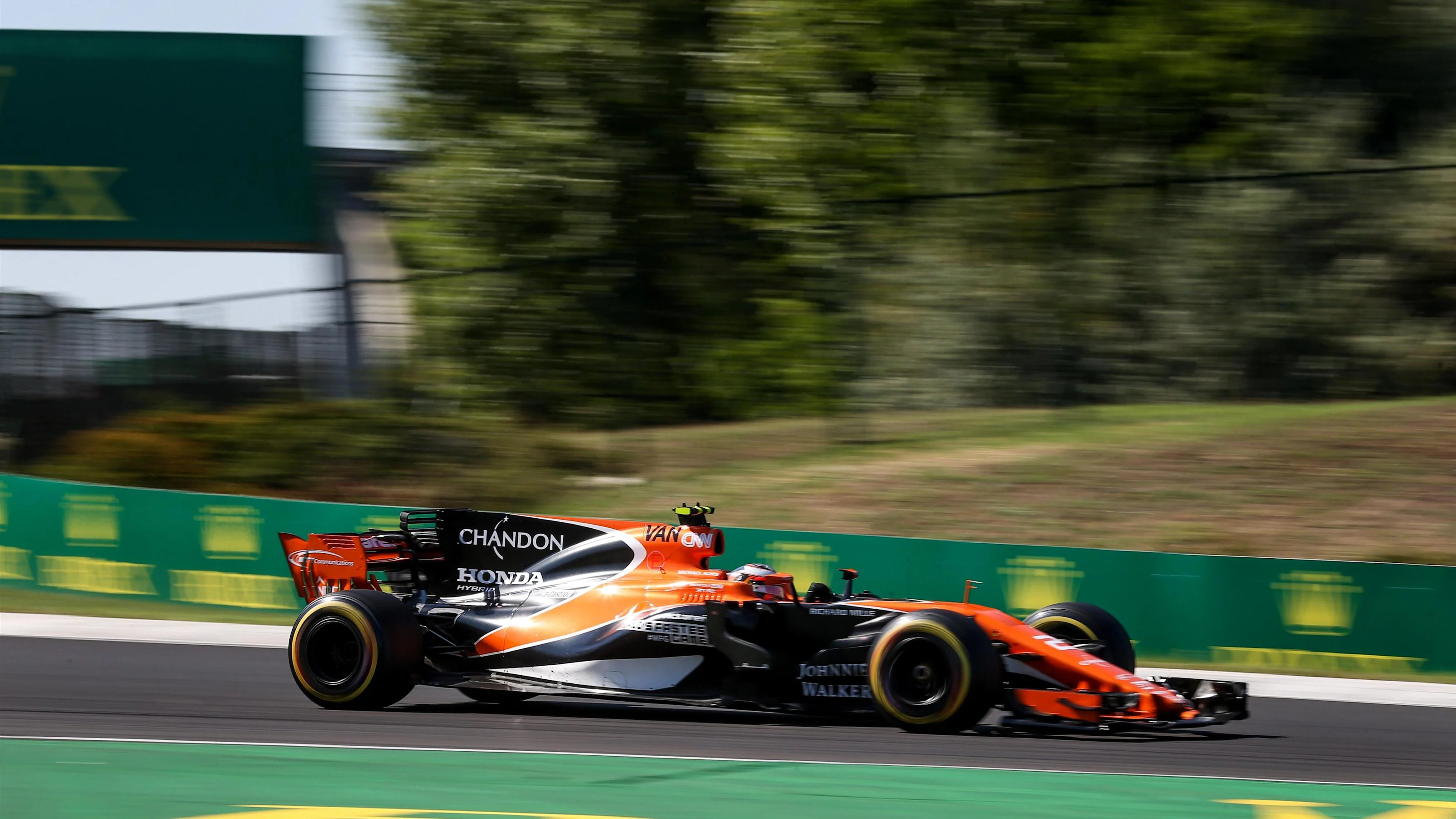 Stoffel Vandoorne (BEL) McLaren MCL32 at Formula One World Championship, Rd11, Hungarian Grand