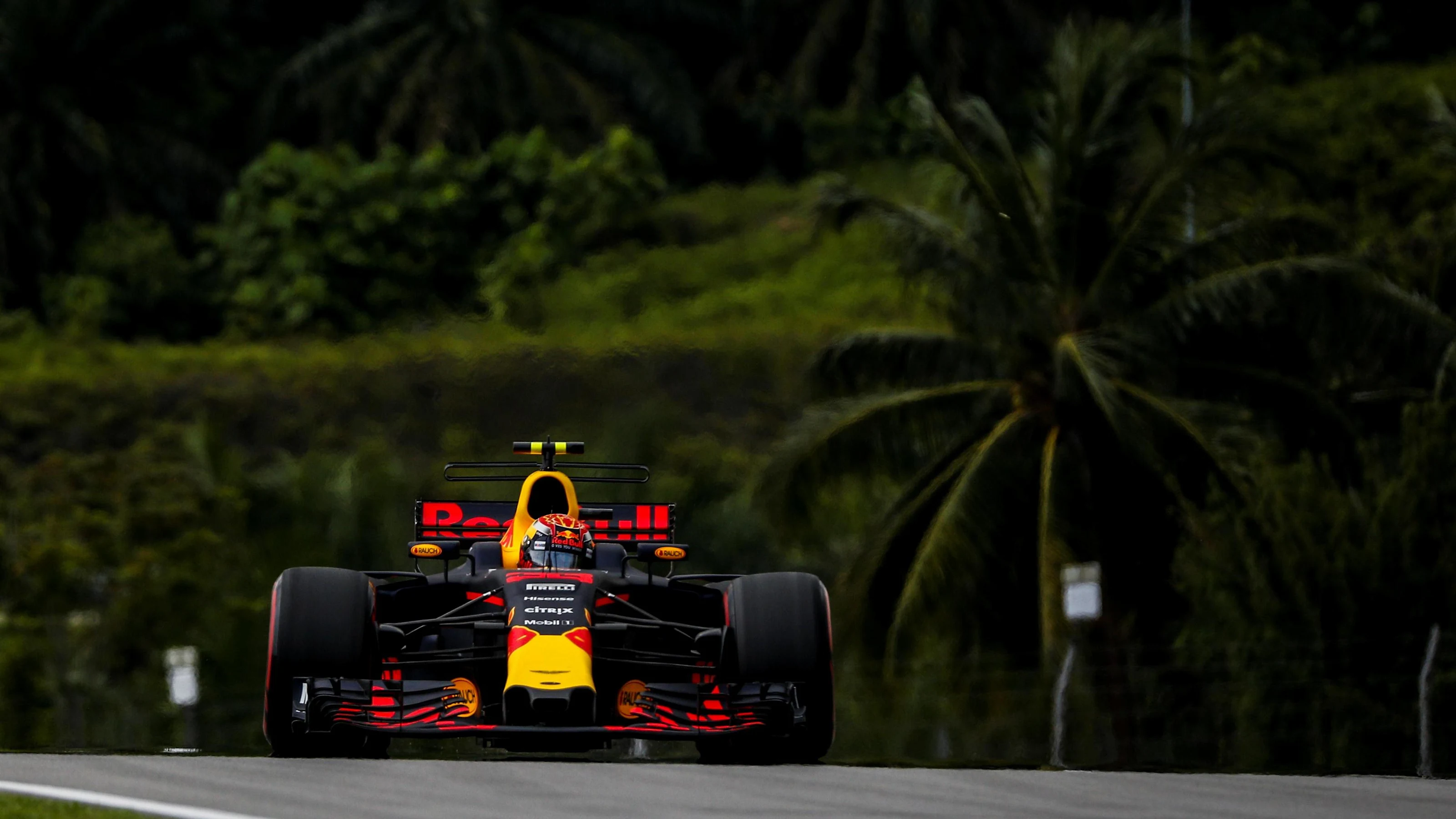 Max Verstappen (NED) Red Bull Racing RB13 at Formula One World Championship, Rd15, Malaysian Grand