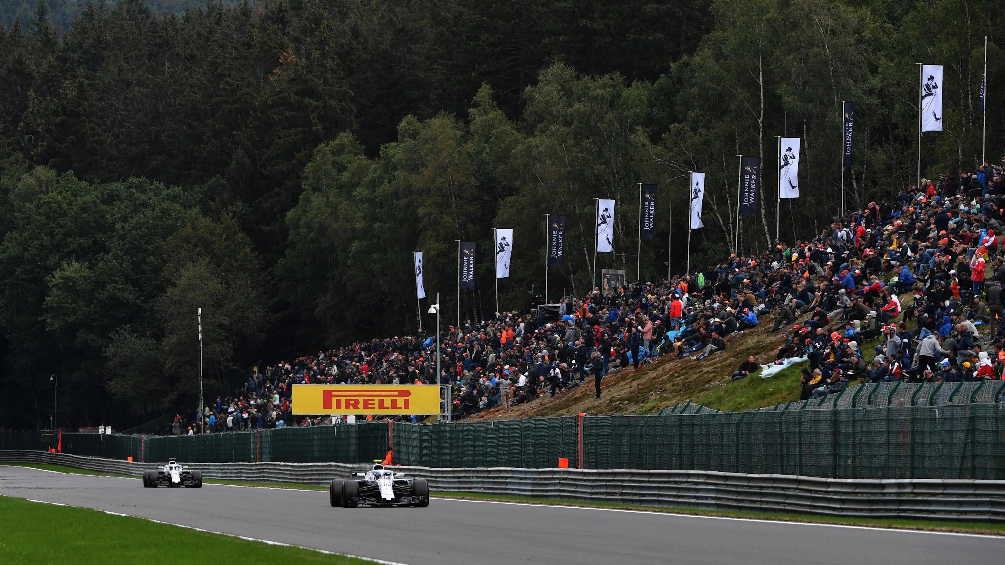 Sergey Sirotkin, Williams FW41 at Formula One World Championship, Rd13, Belgian Grand Prix,