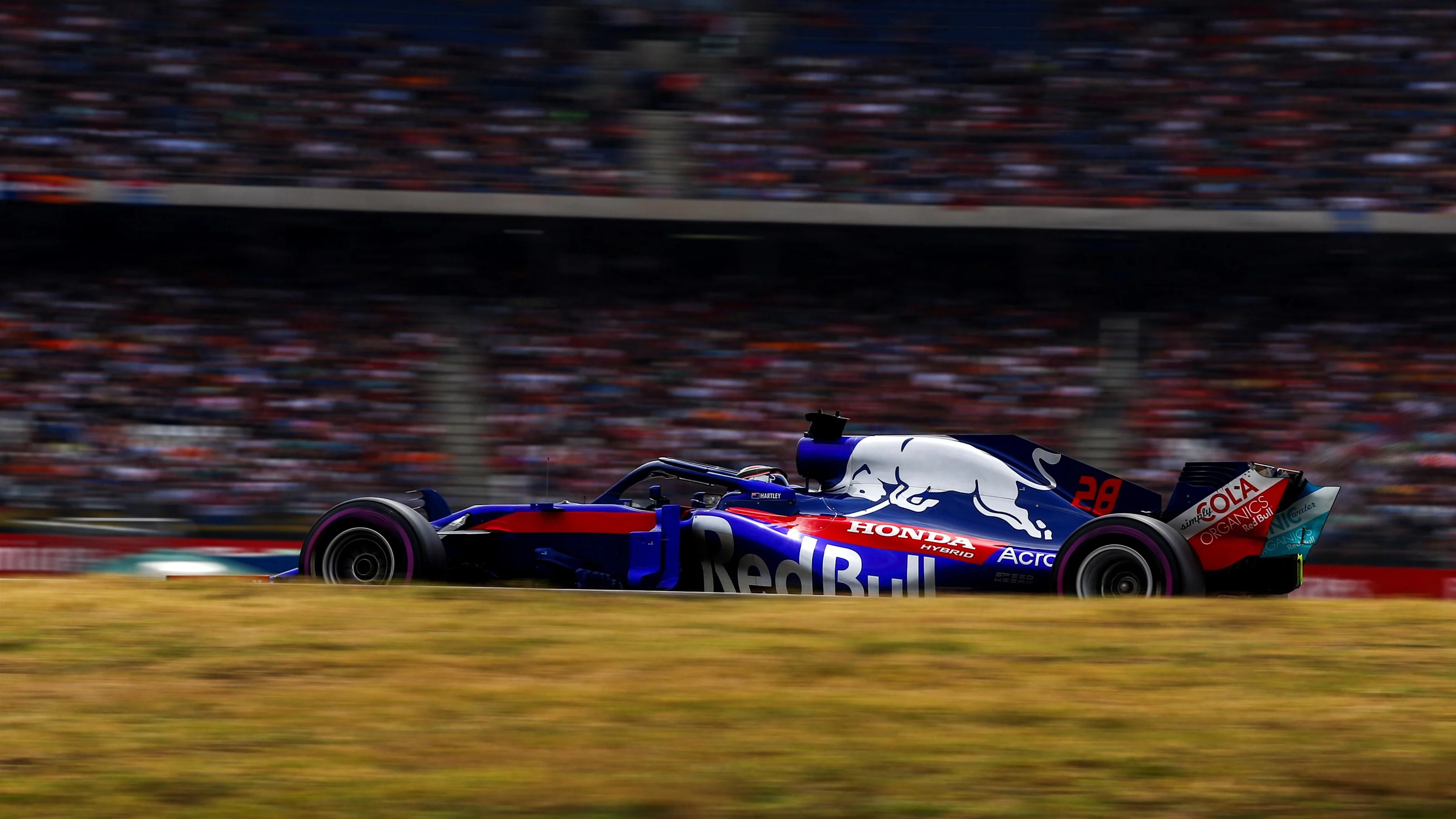 Brendon Hartley (NZL) Scuderia Toro Rosso STR13 at Formula One World Championship, Rd11, German