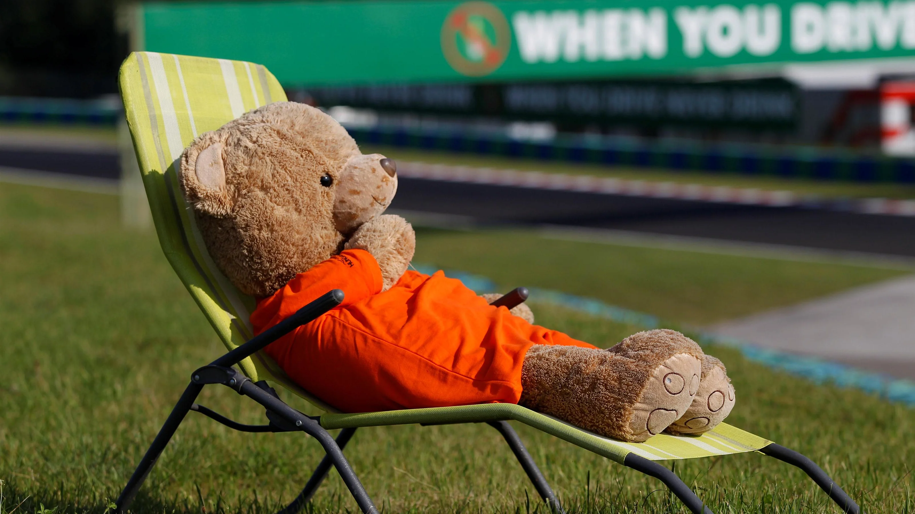 Teddy bear at Formula One World Championship, Rd12, Hungarian Grand Prix, Practice, Hungaroring,