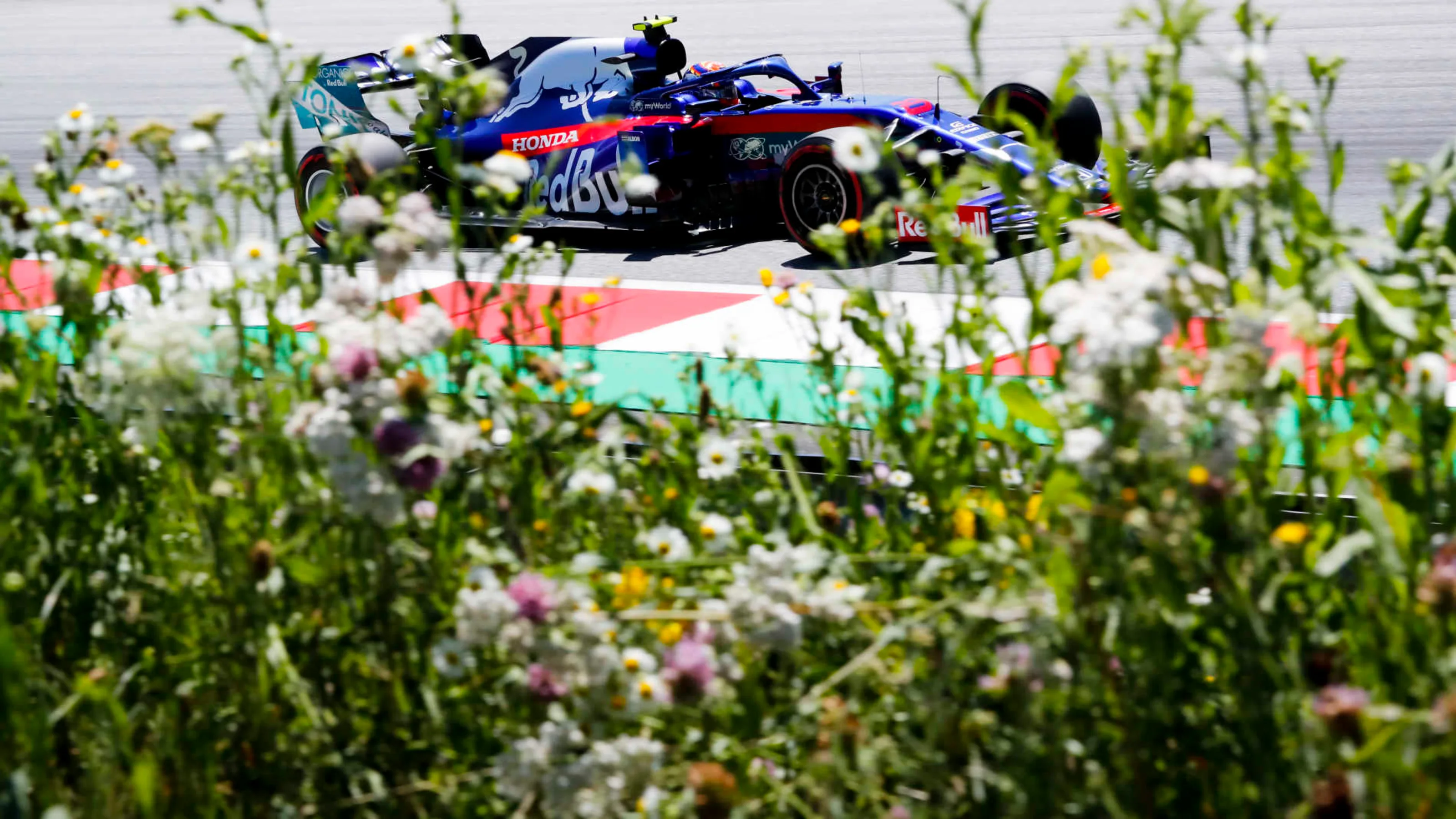 RED BULL RING, AUSTRIA - JUNE 29: Alexander Albon, Toro Rosso STR14 during the Austrian GP at Red