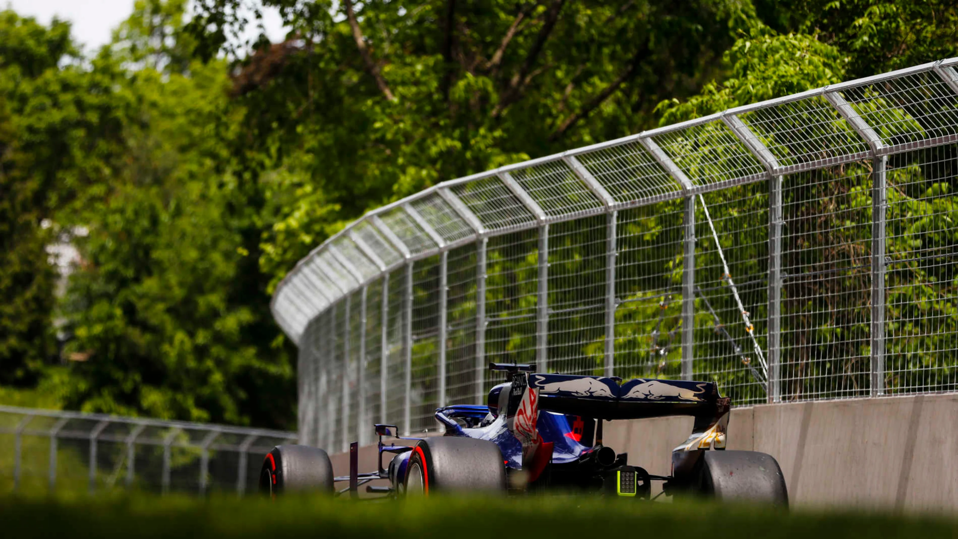 CIRCUIT GILLES-VILLENEUVE, CANADA - JUNE 08: Daniil Kvyat, Toro Rosso STR14 during the Canadian GP