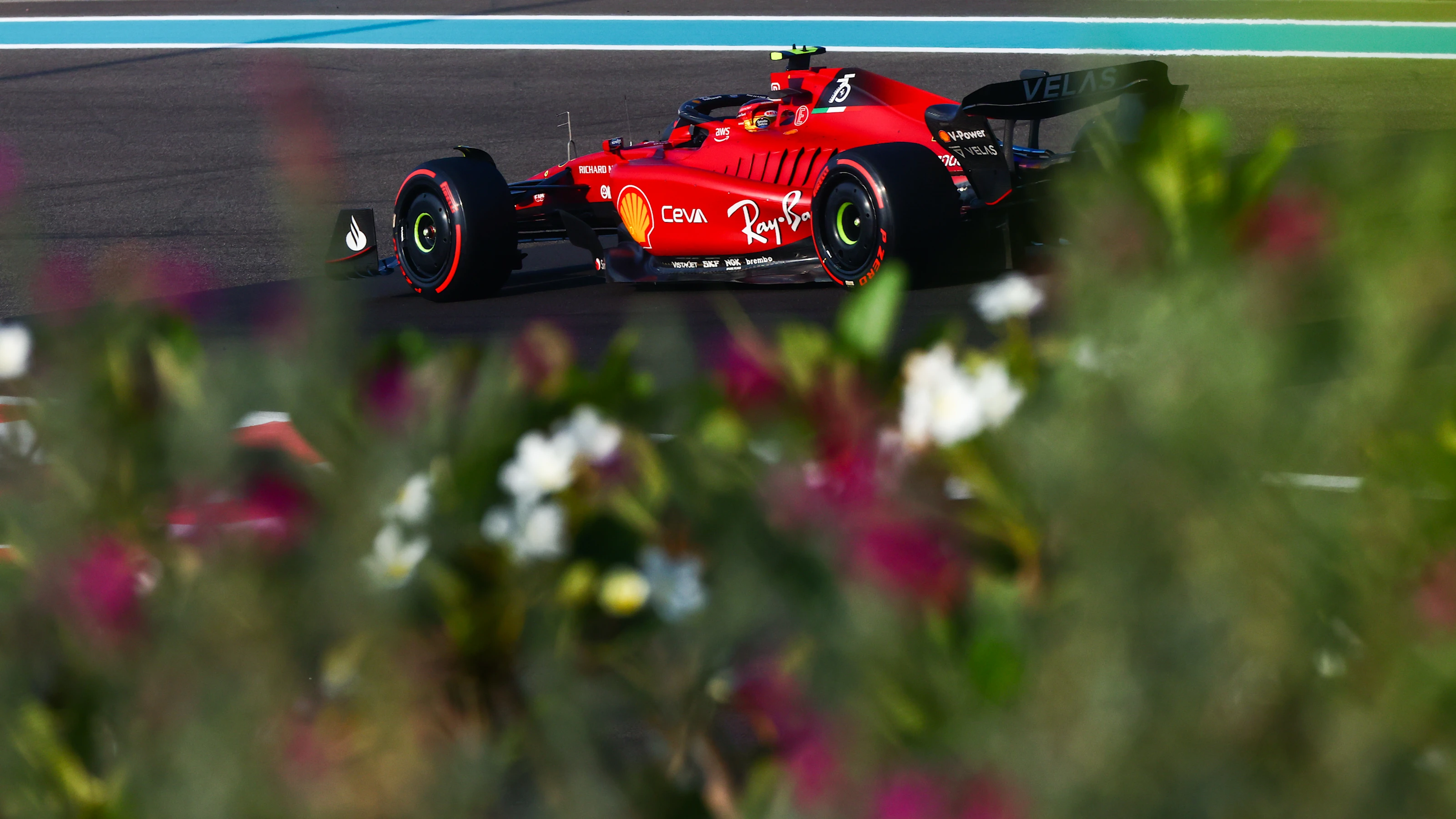ABU DHABI, UNITED ARAB EMIRATES - NOVEMBER 19: Carlos Sainz of Spain driving (55) the Ferrari F1-75