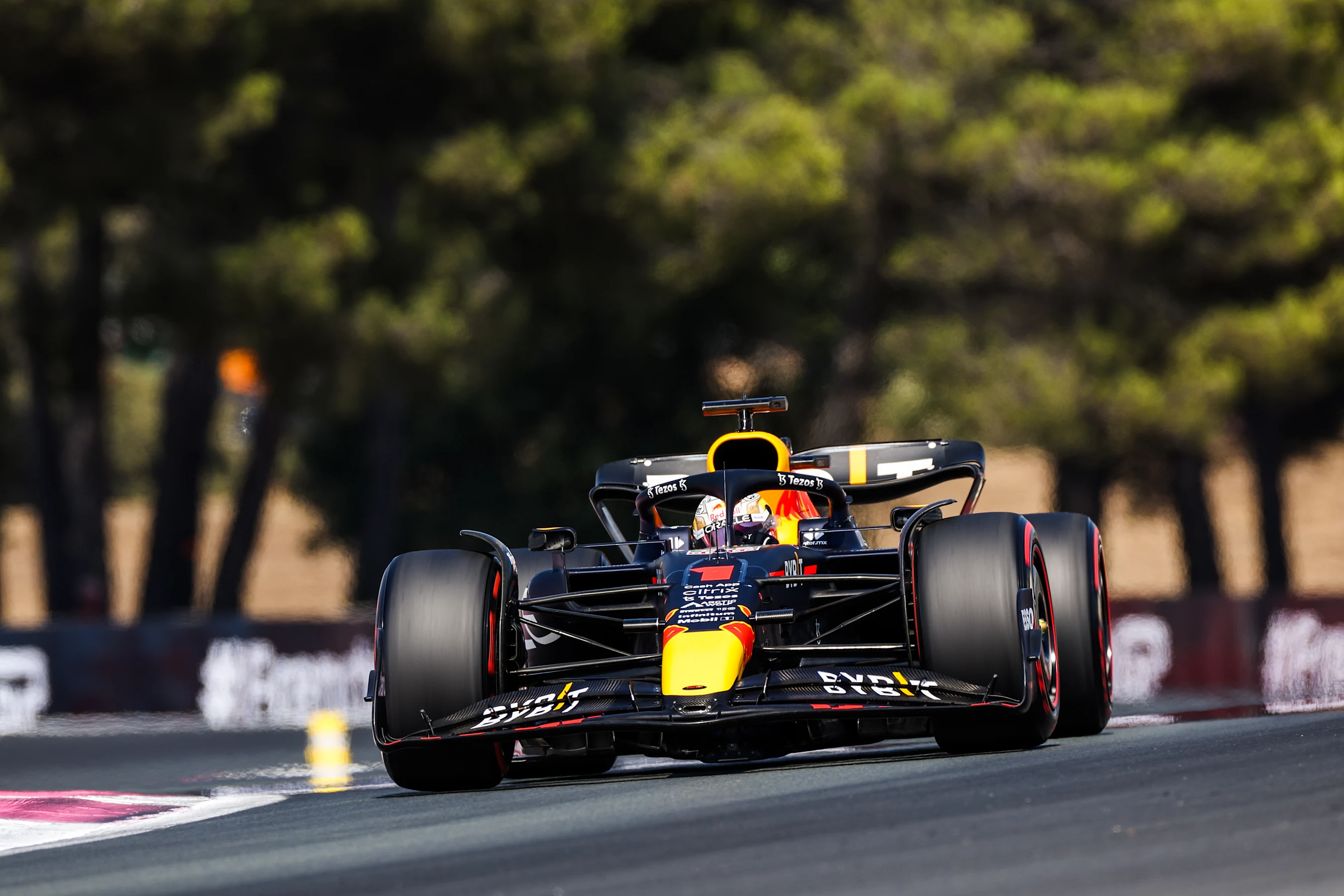 LE CASTELLET, FRANCE - JULY 23: Max Verstappen of Red Bull Racing and The Netherlands  during