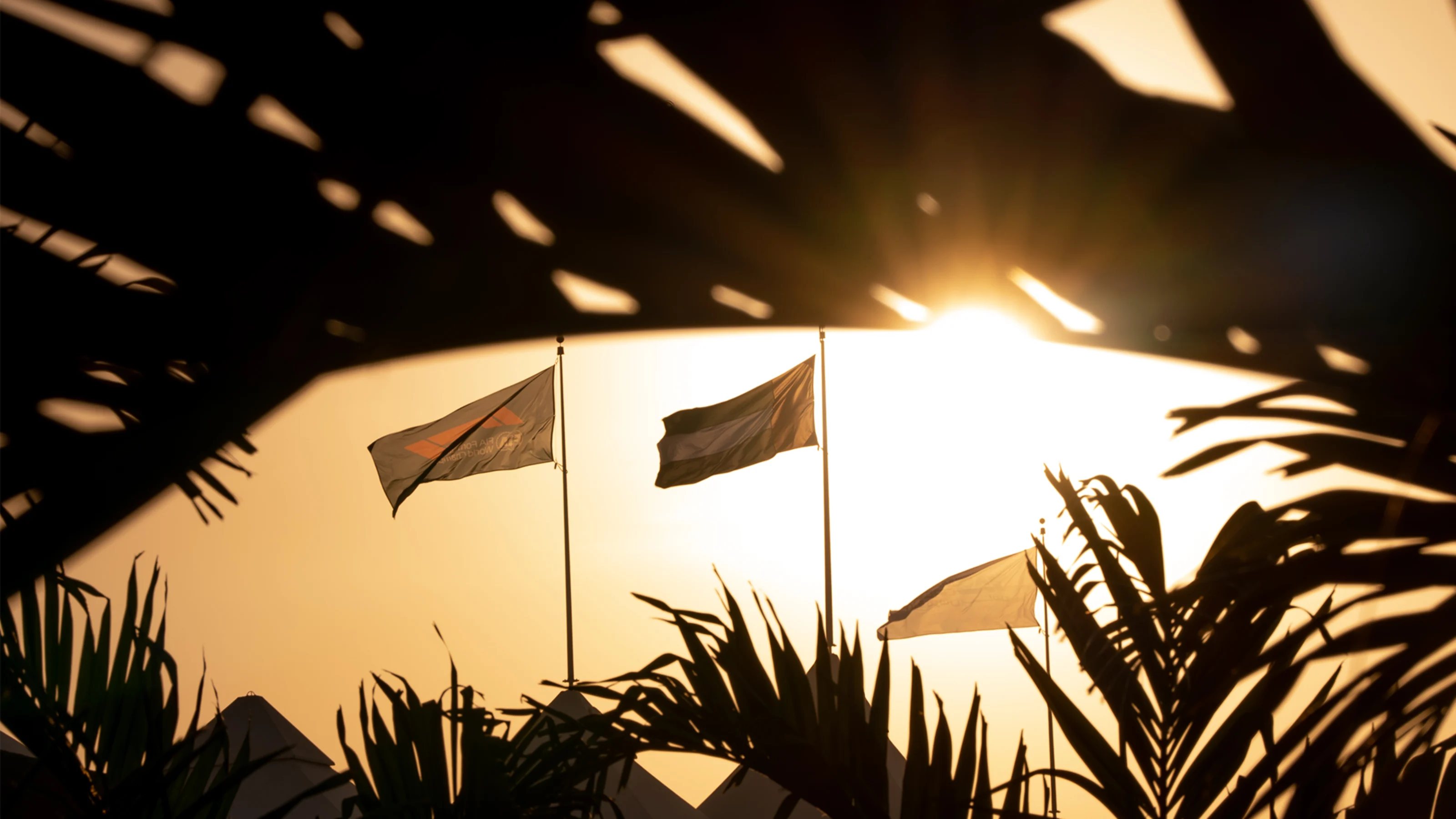 msc-abu-dhabi-4.png