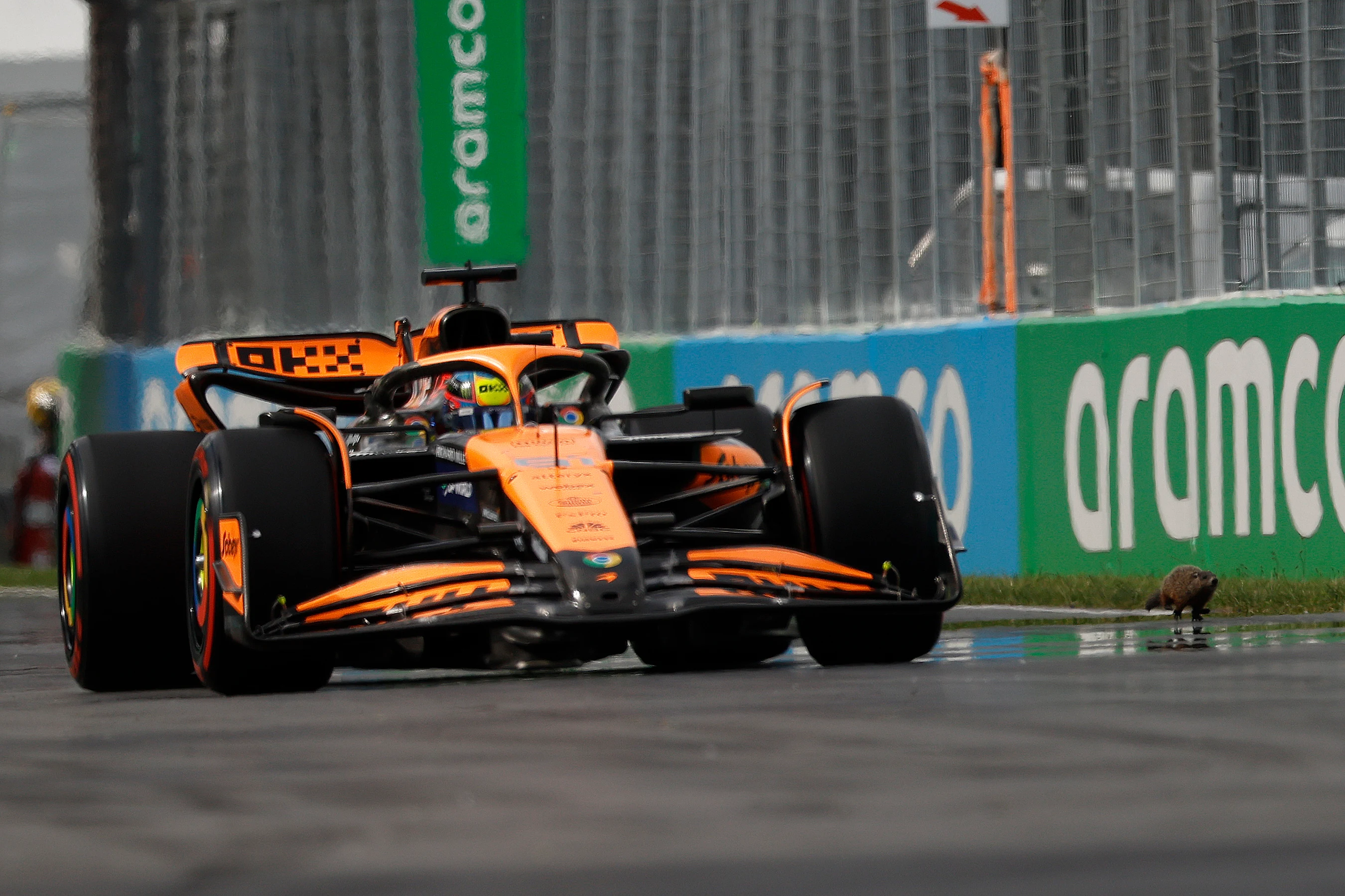 MONTREAL, QUEBEC - JUNE 08: Oscar Piastri of Australia driving the (81) McLaren MCL38 Mercedes next