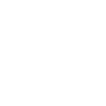 RB F1 Team