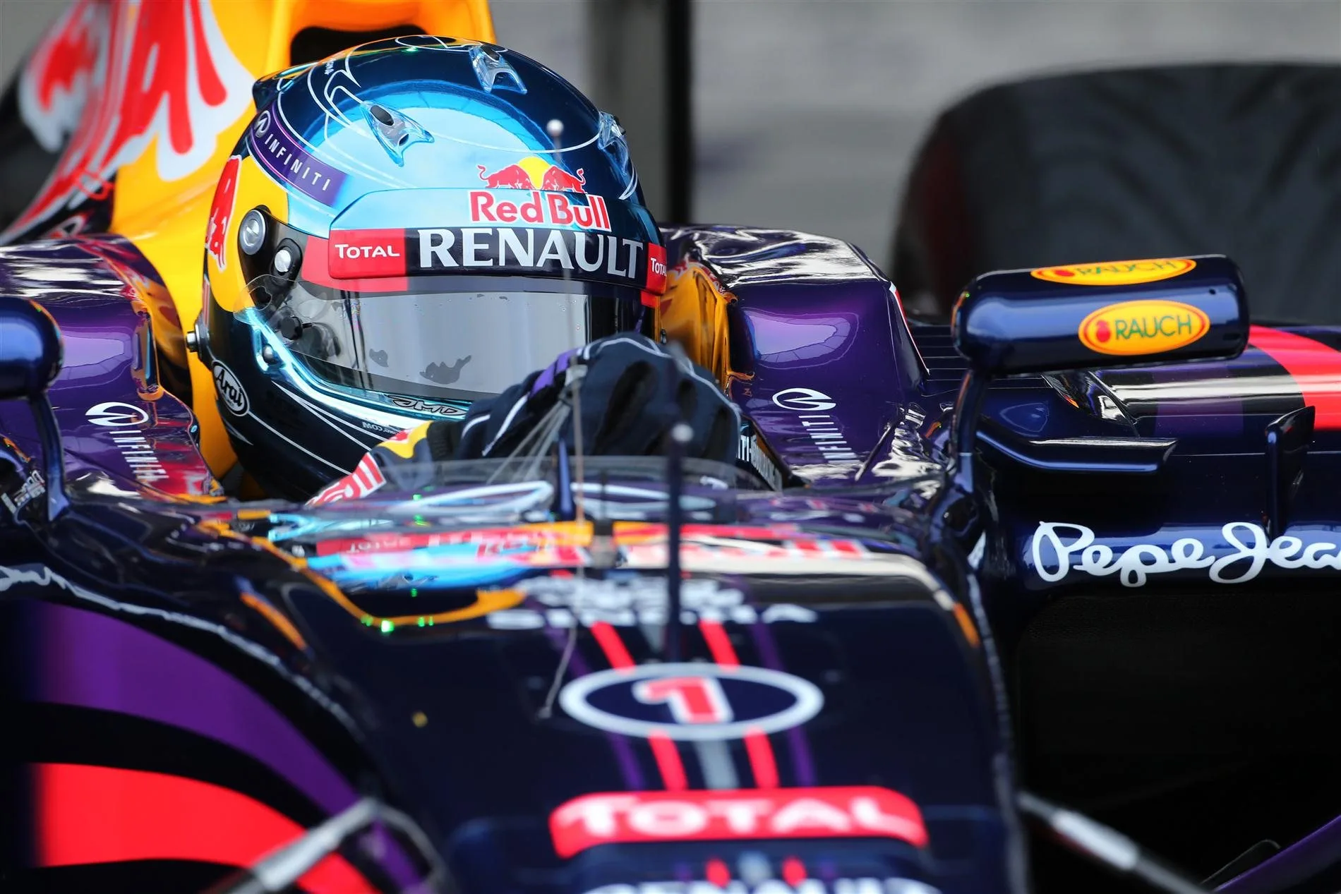 Sebastian Vettel (GER) Red Bull Racing RB10. Formula One Testing, Jerez, Spain, Day One, Tuesday, 28 January 2014