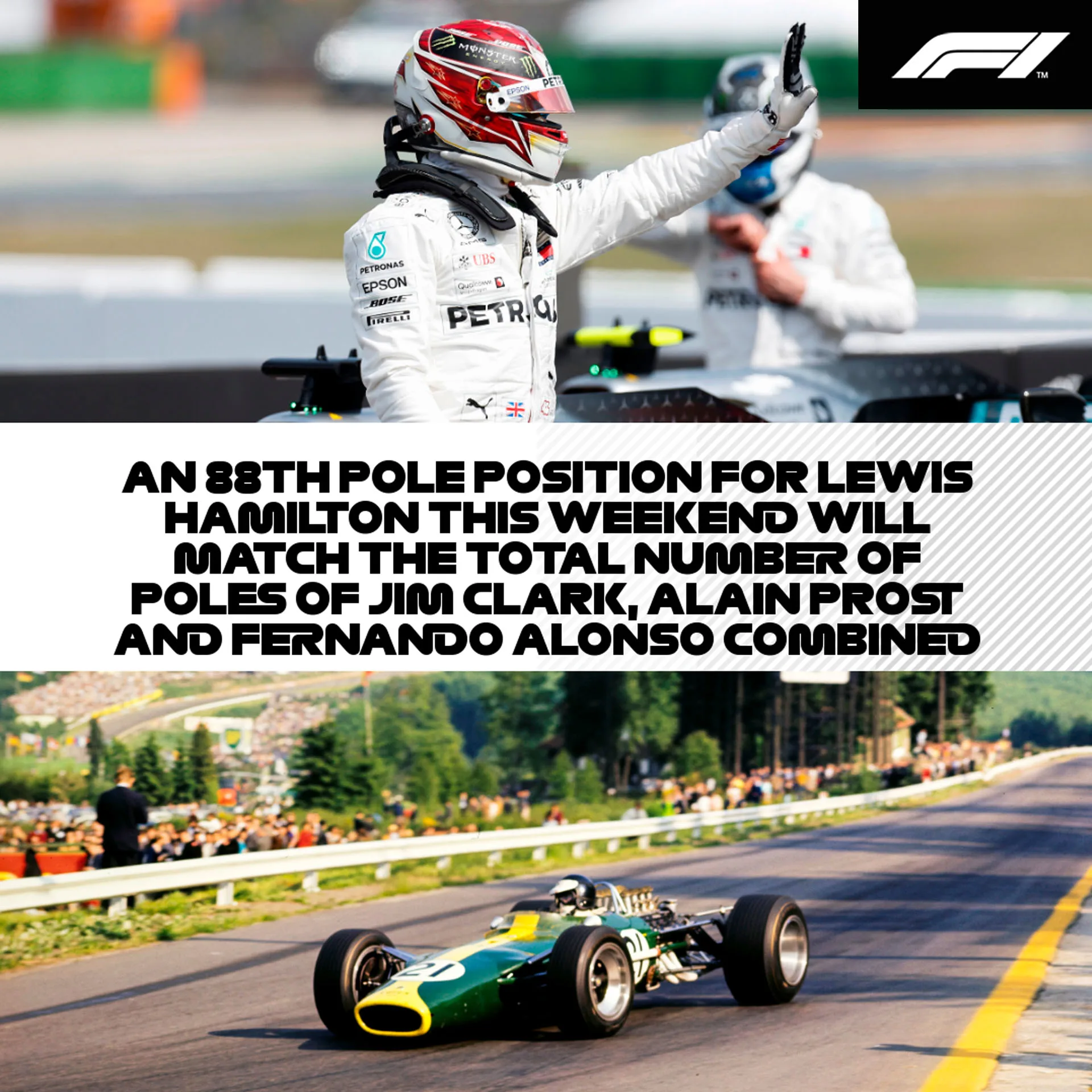 Hamilton pole