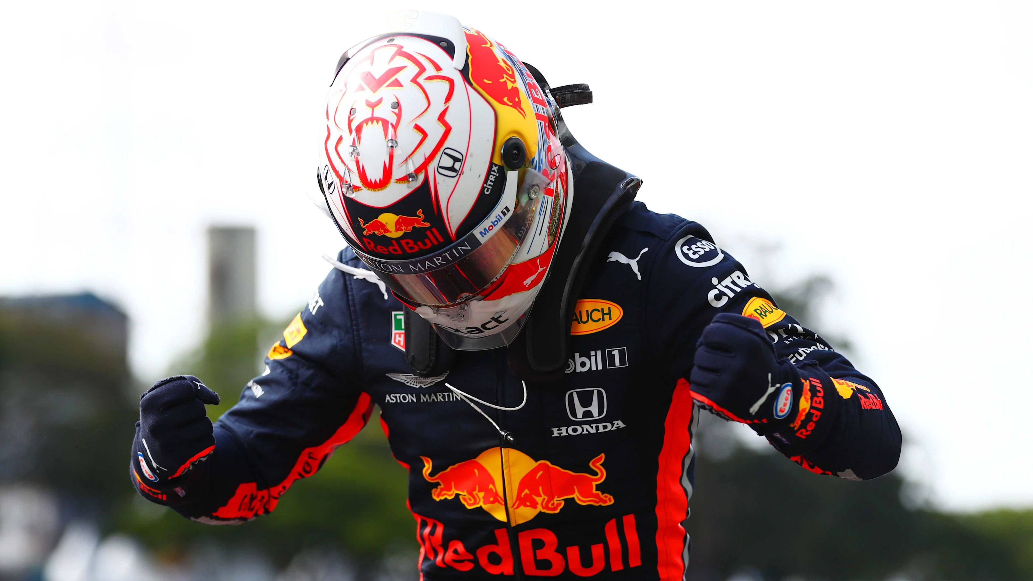 SAO PAULO, BRAZIL - NOVEMBER 17: Race winner Max Verstappen of Netherlands and Red Bull Racing